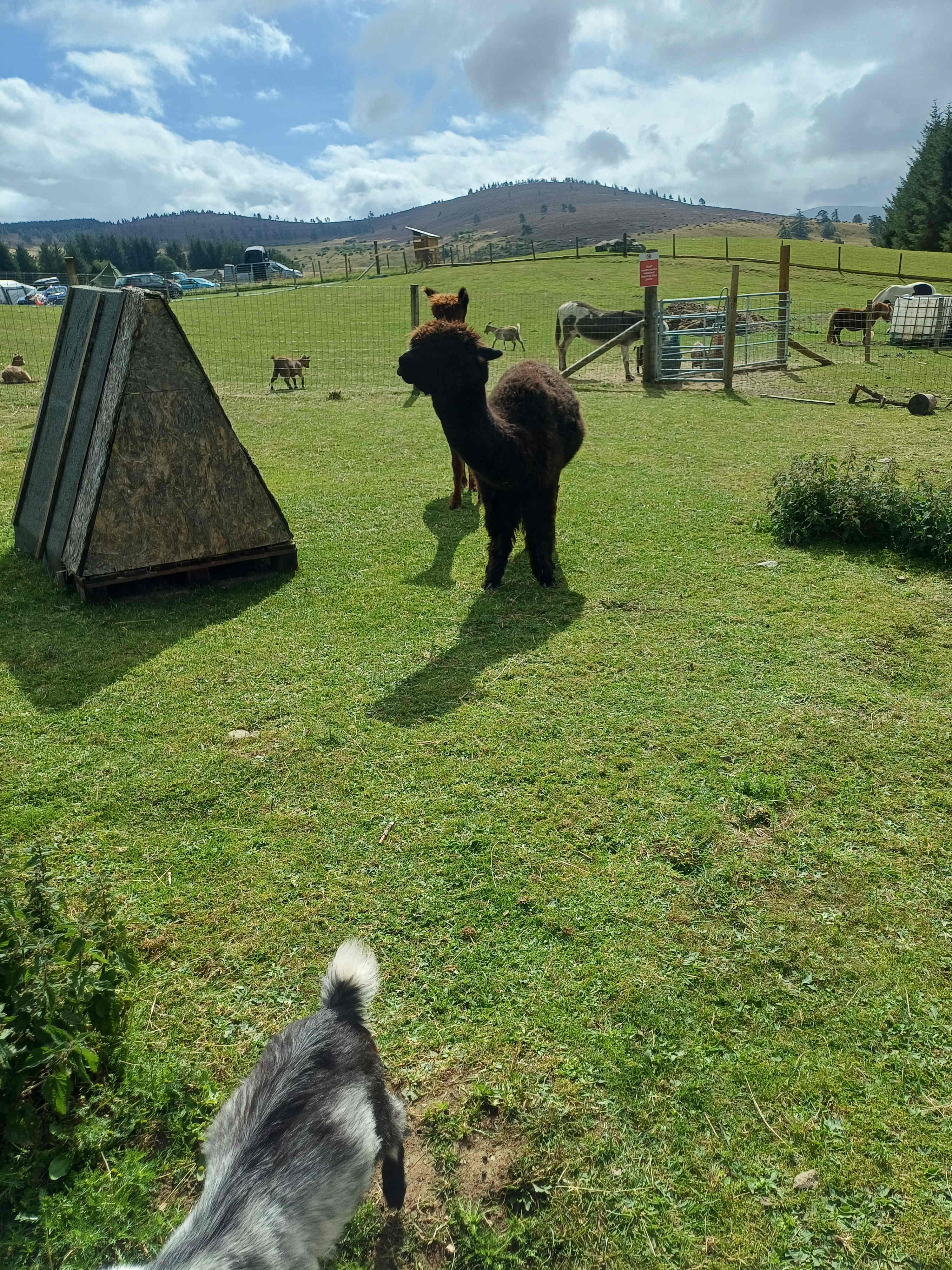 Cairngorms Glamping and Campsite