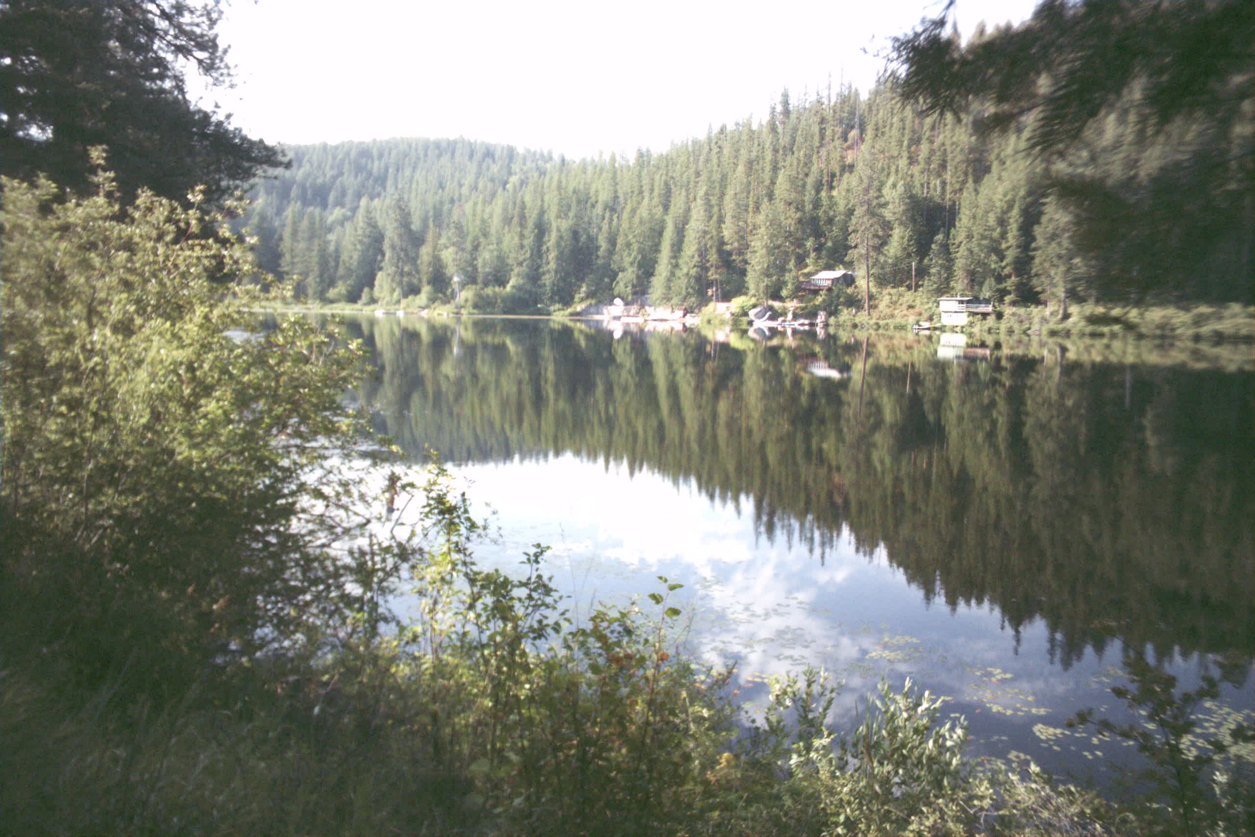 The Hidden Frog On Kelso Lake