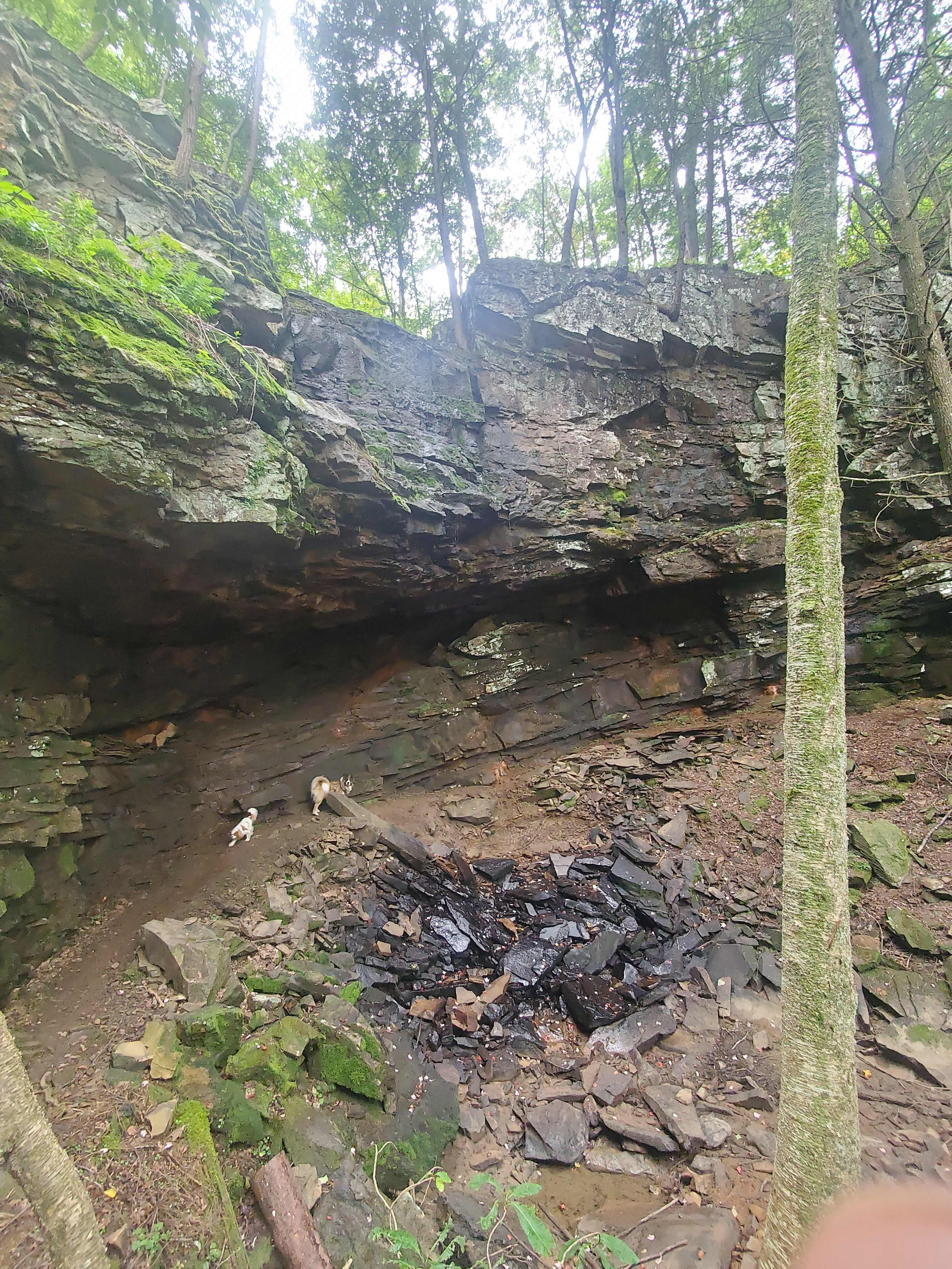 The Falls at Sewanee Creek