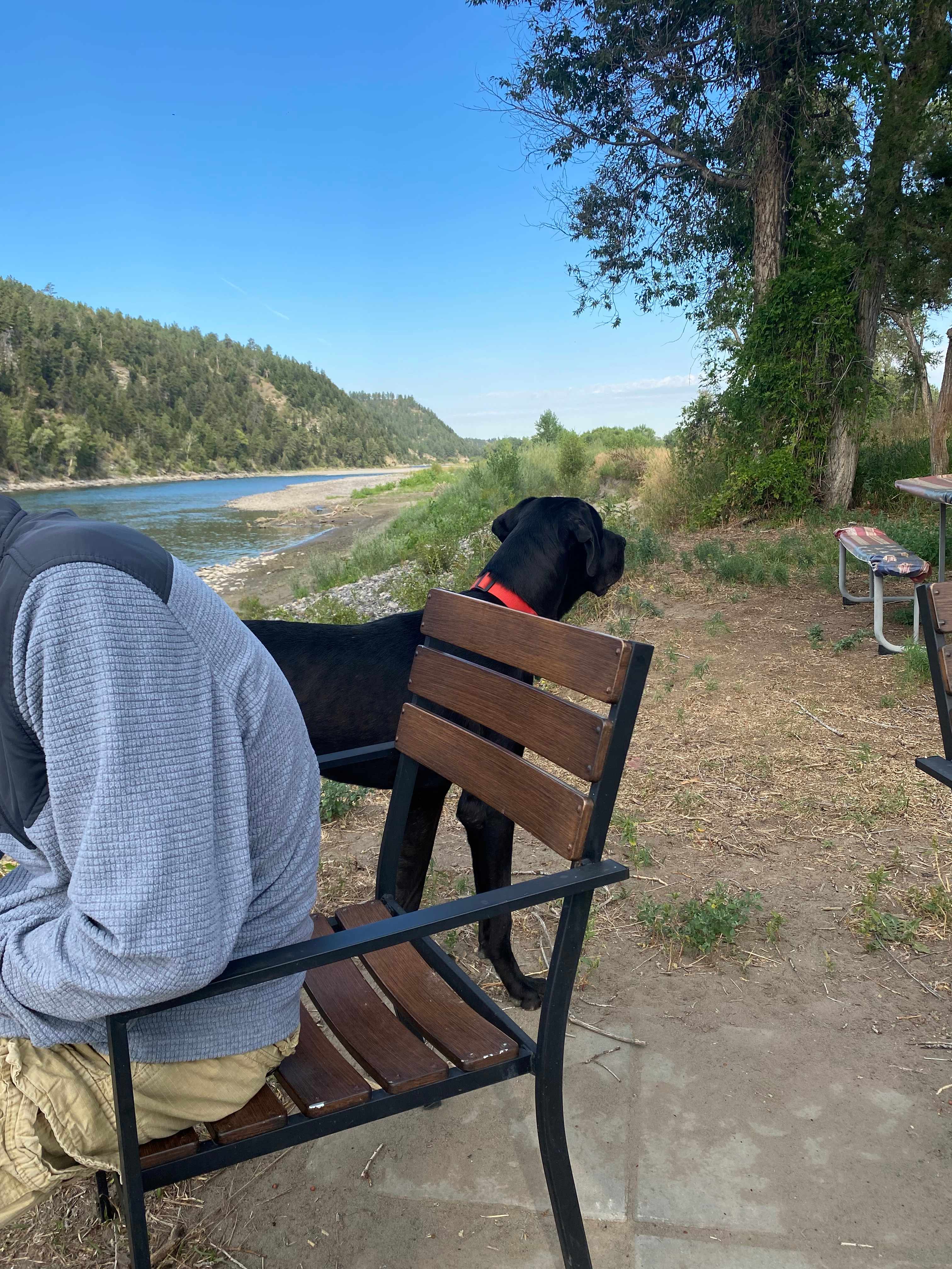 Secluded Yellowstone River Camp