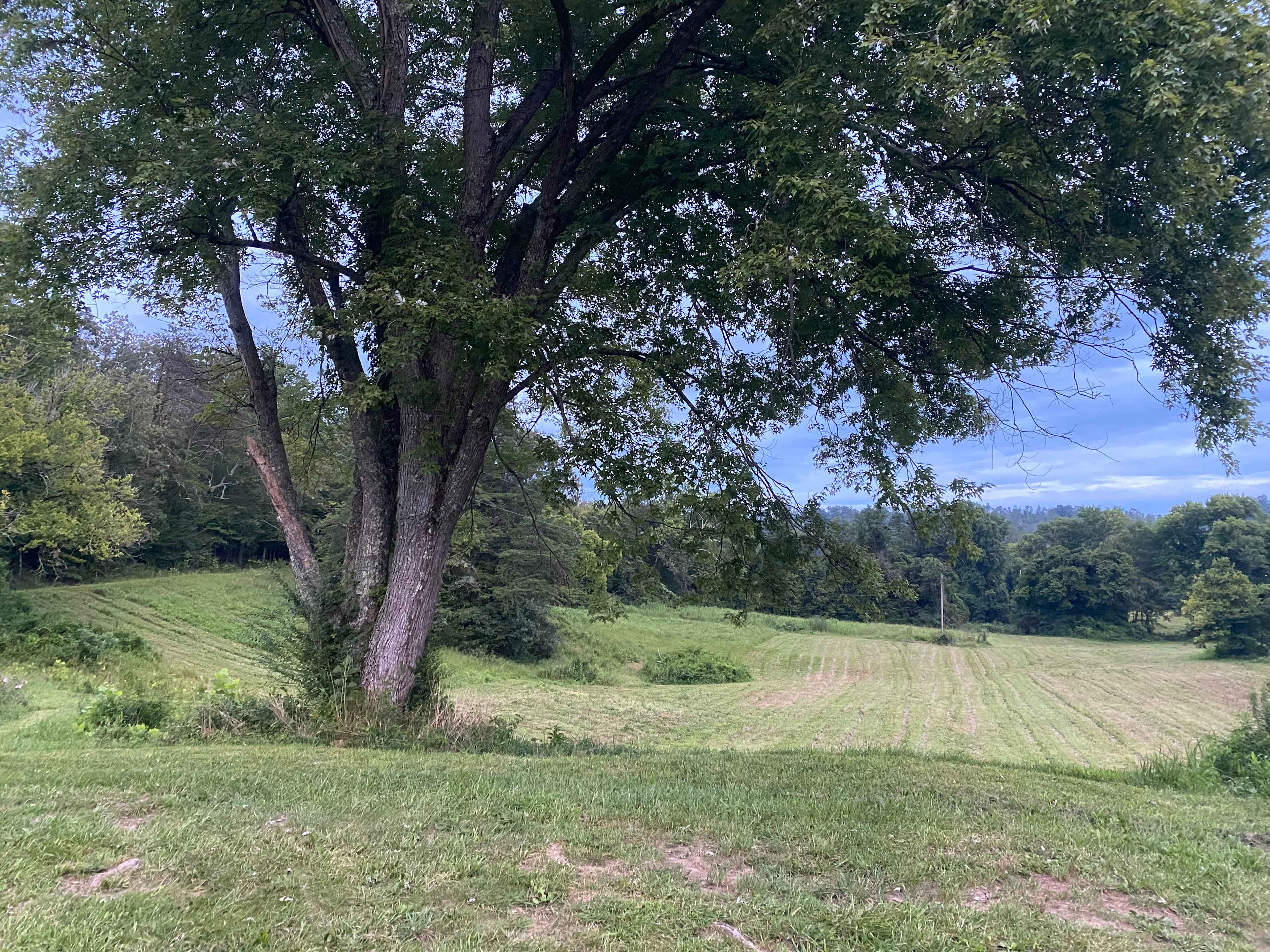 Kentucky River Hideaway (Near RRG)