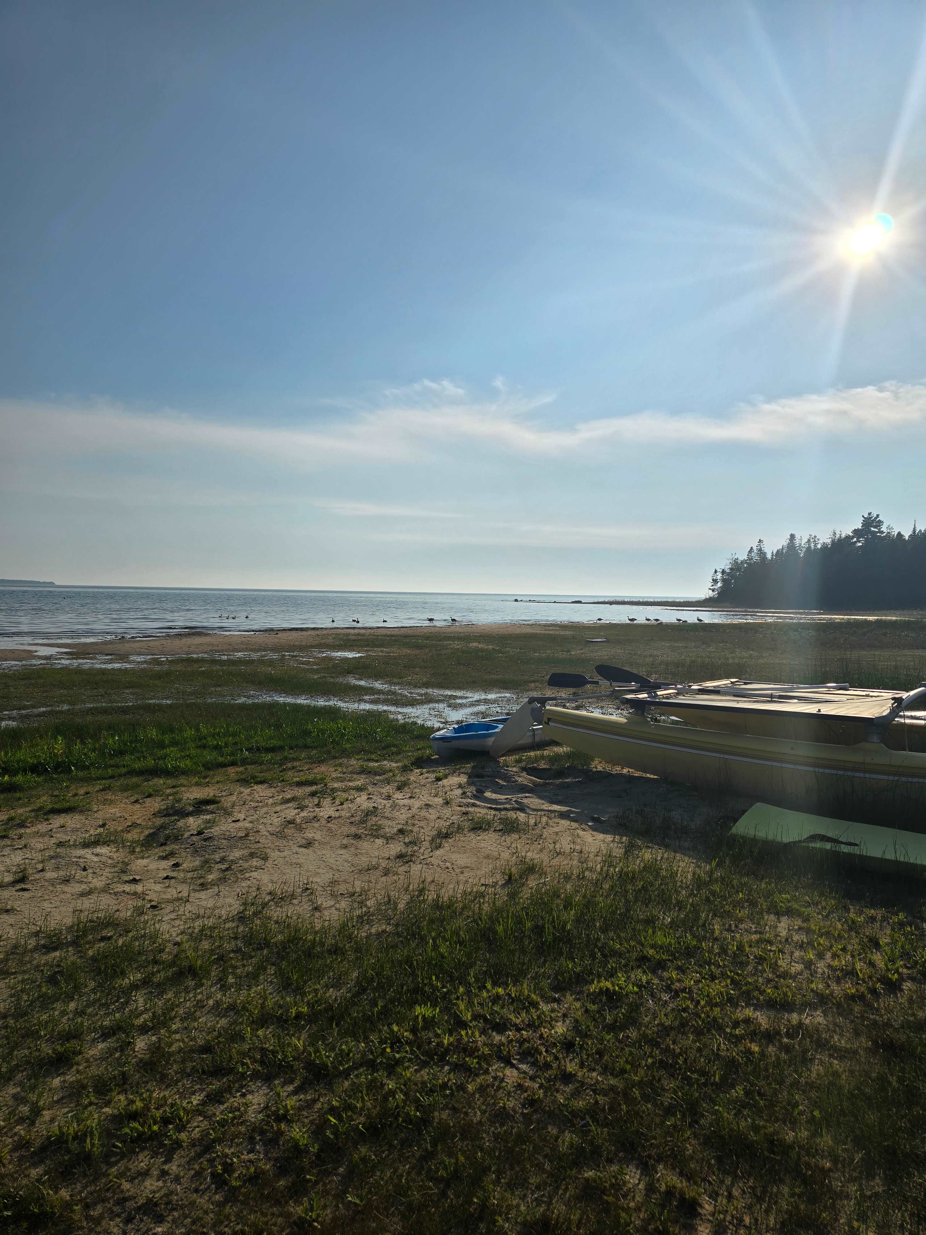 Just Show Up Camping