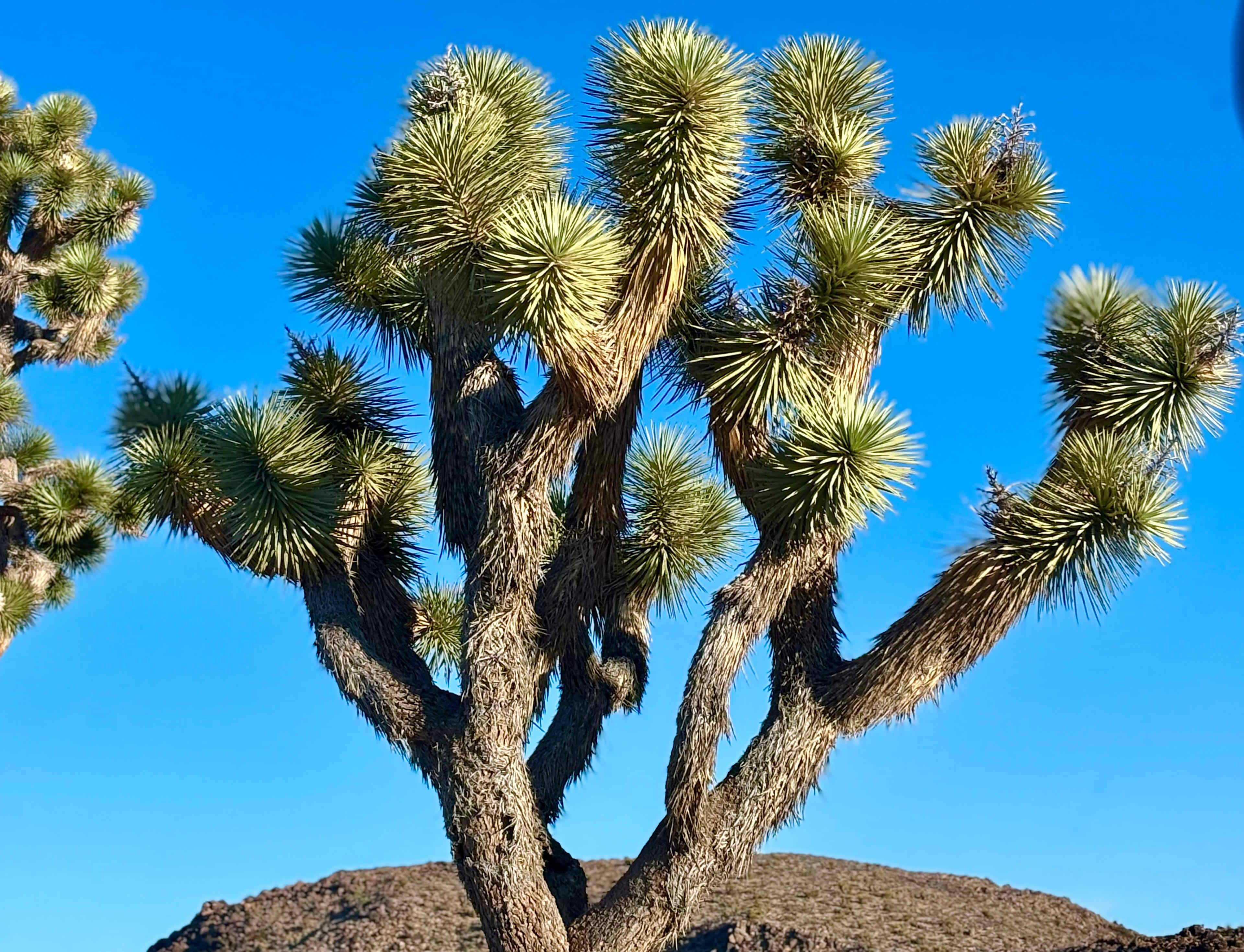 The east entrance to the park is so close! I