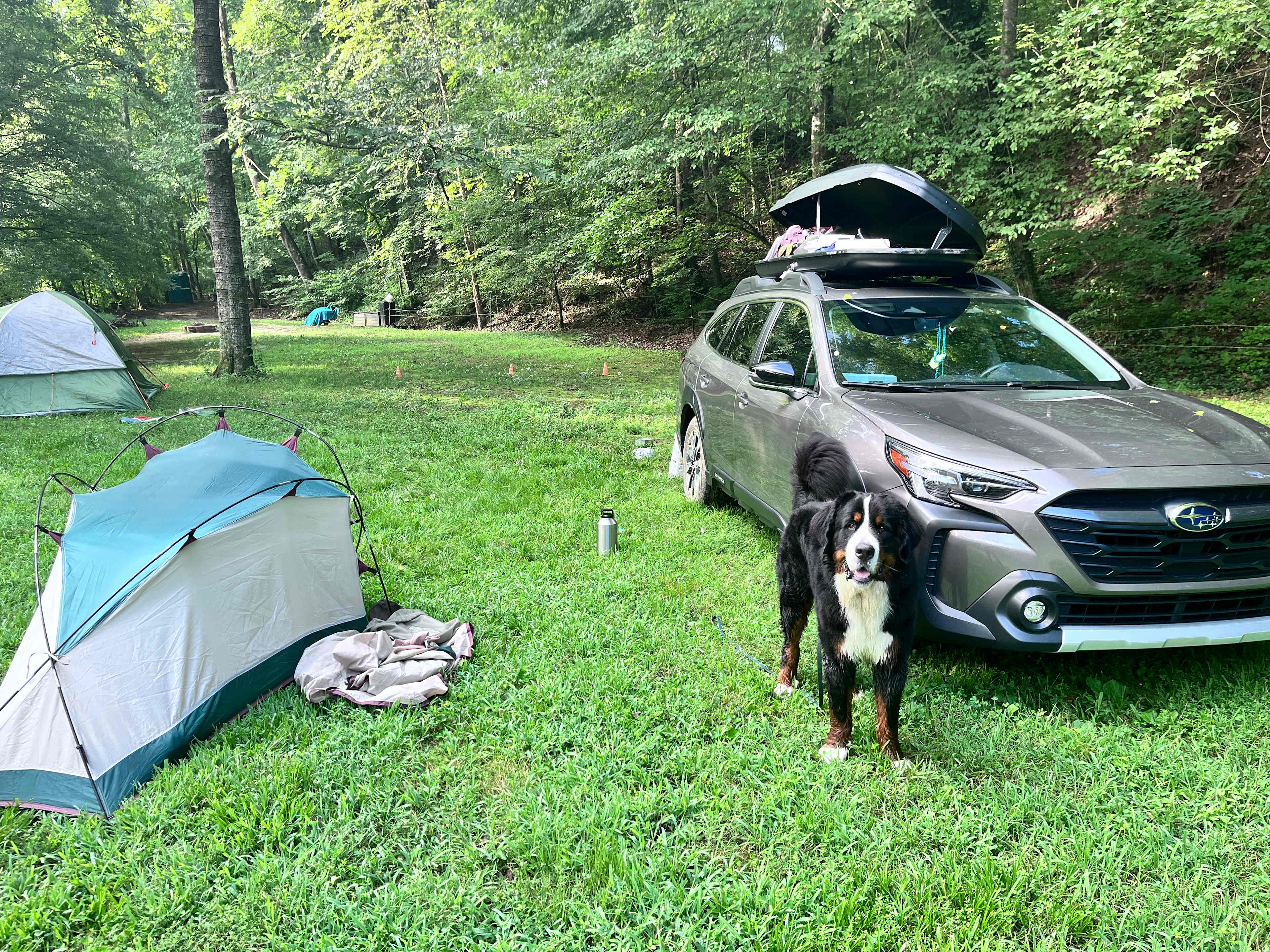 Kohler Farms-A Shire Horse...