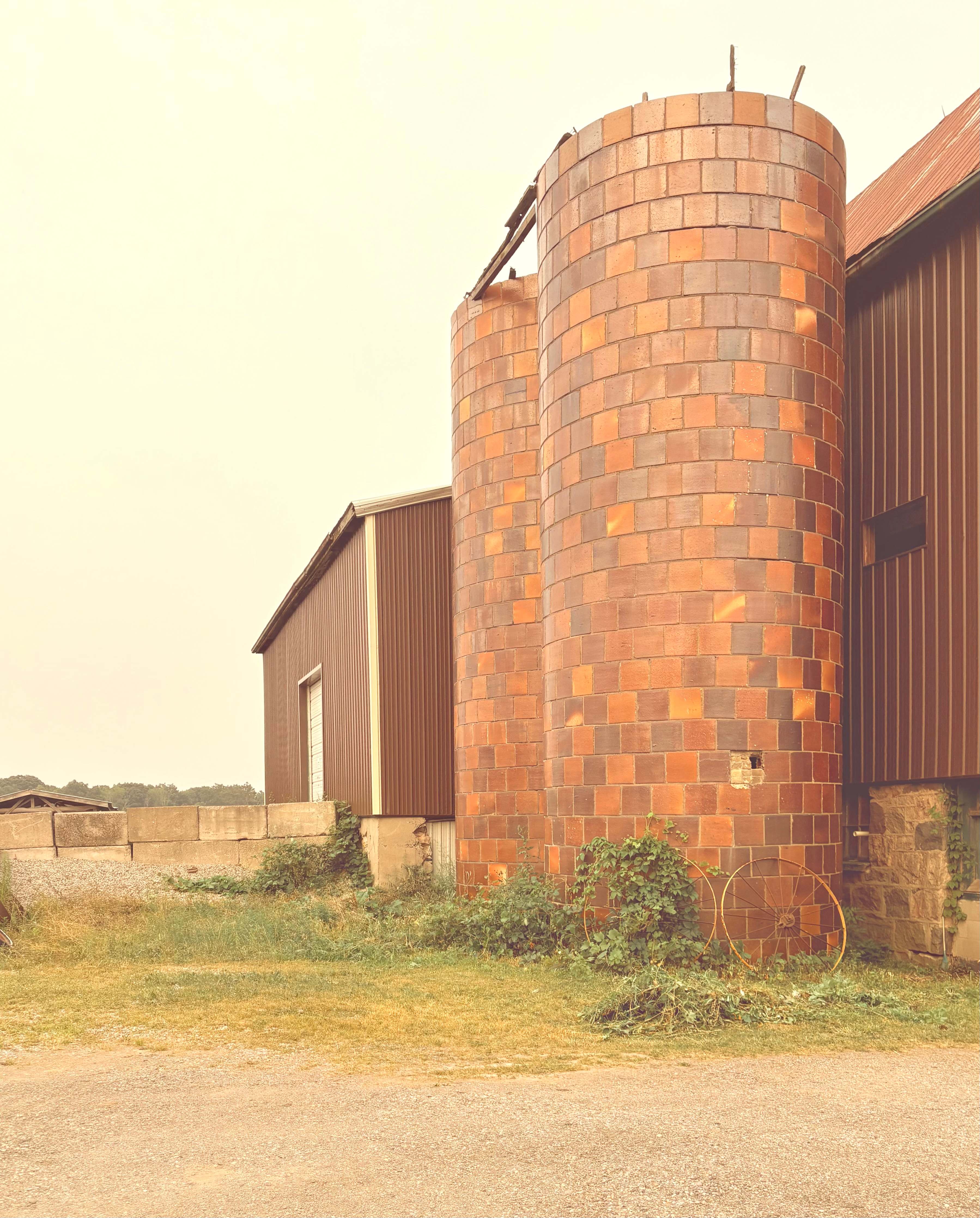 The Farm