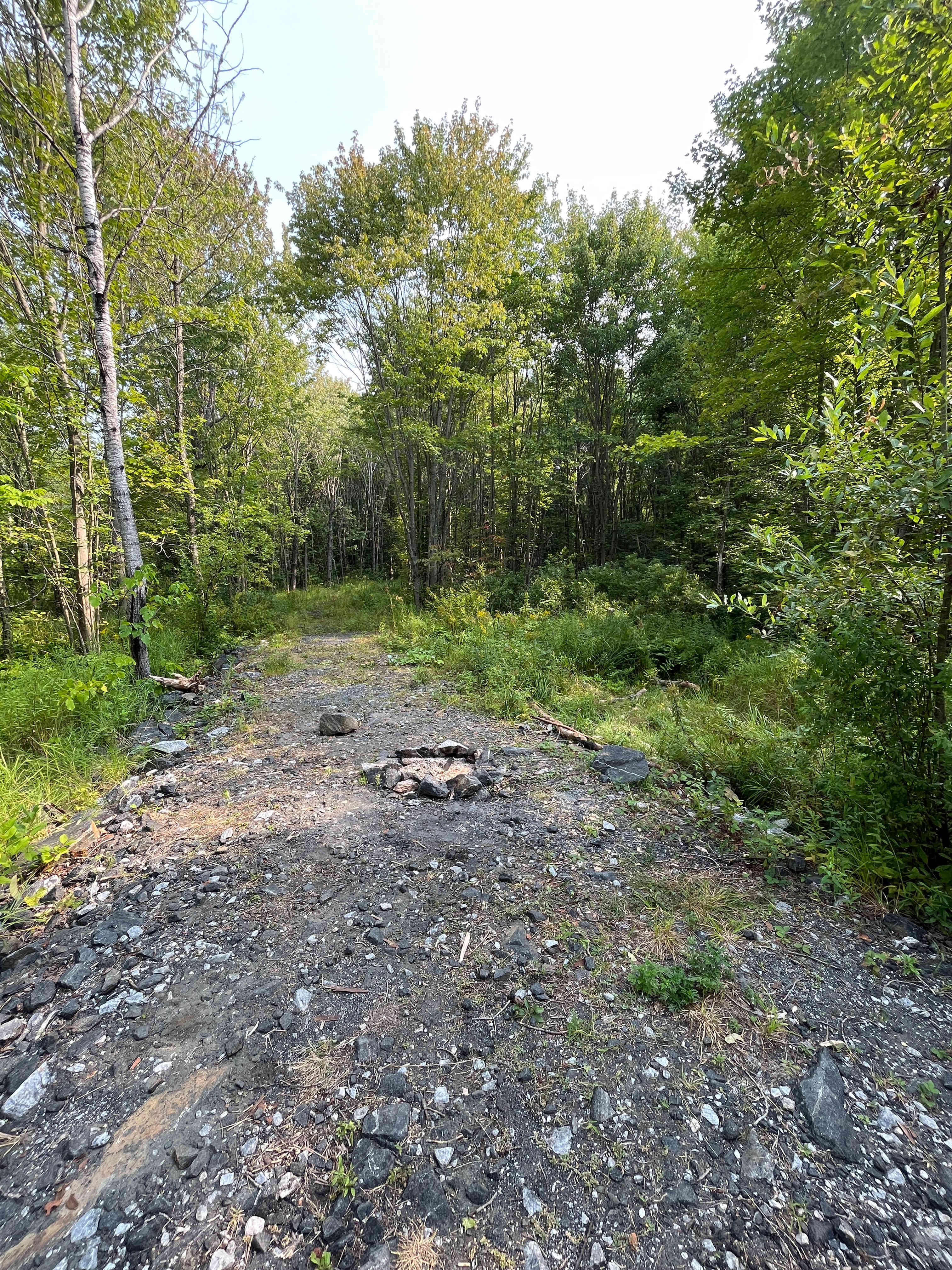 Condition of site at check-out