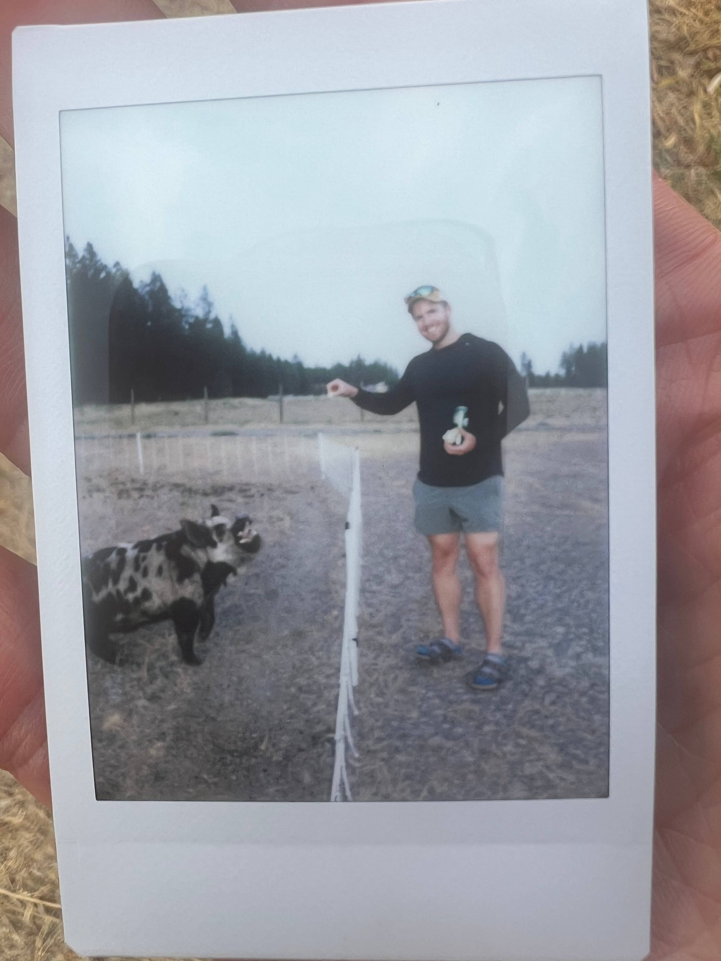 Funny Farm Homestead