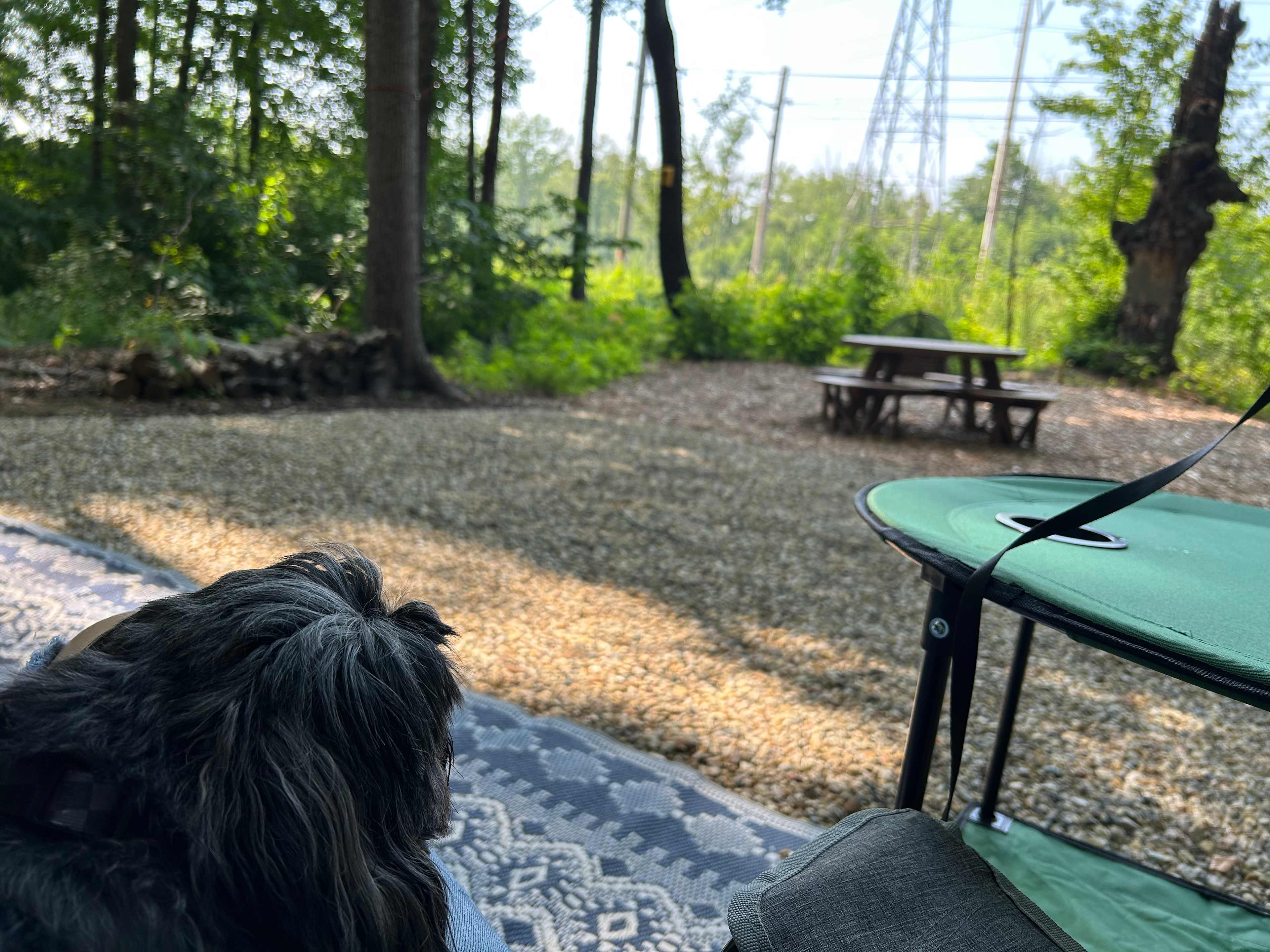 Sitting at camper looking towards tracks (didn’t mind the trains!)