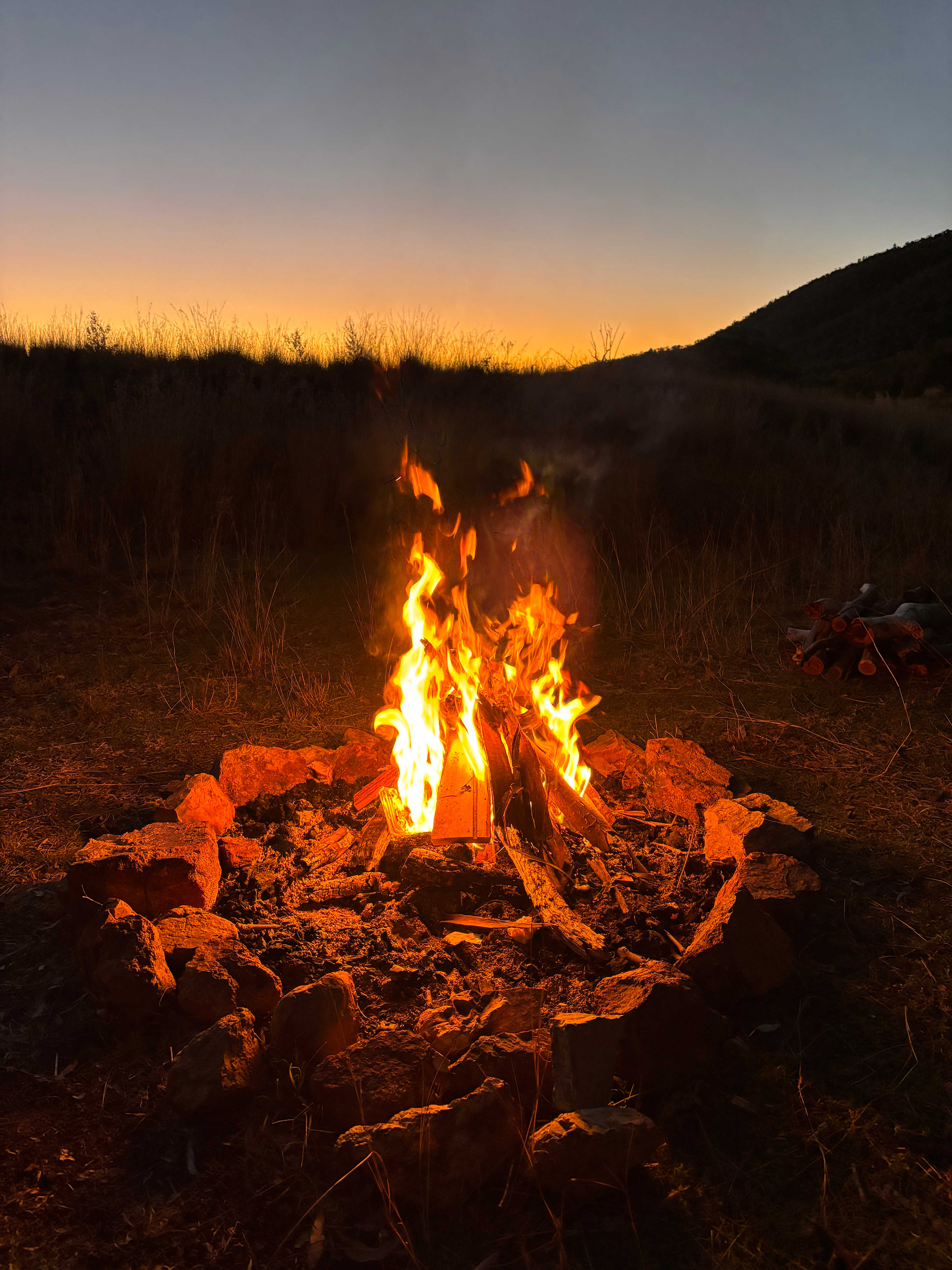 Serenity Ranch (horse-friendly)