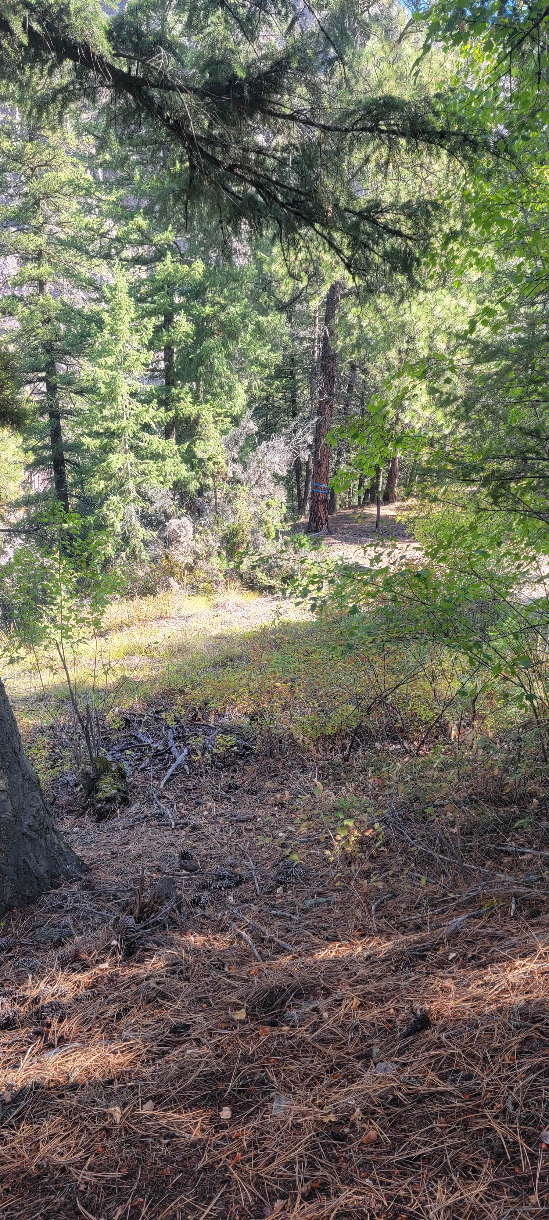 Triple Bridges Campground