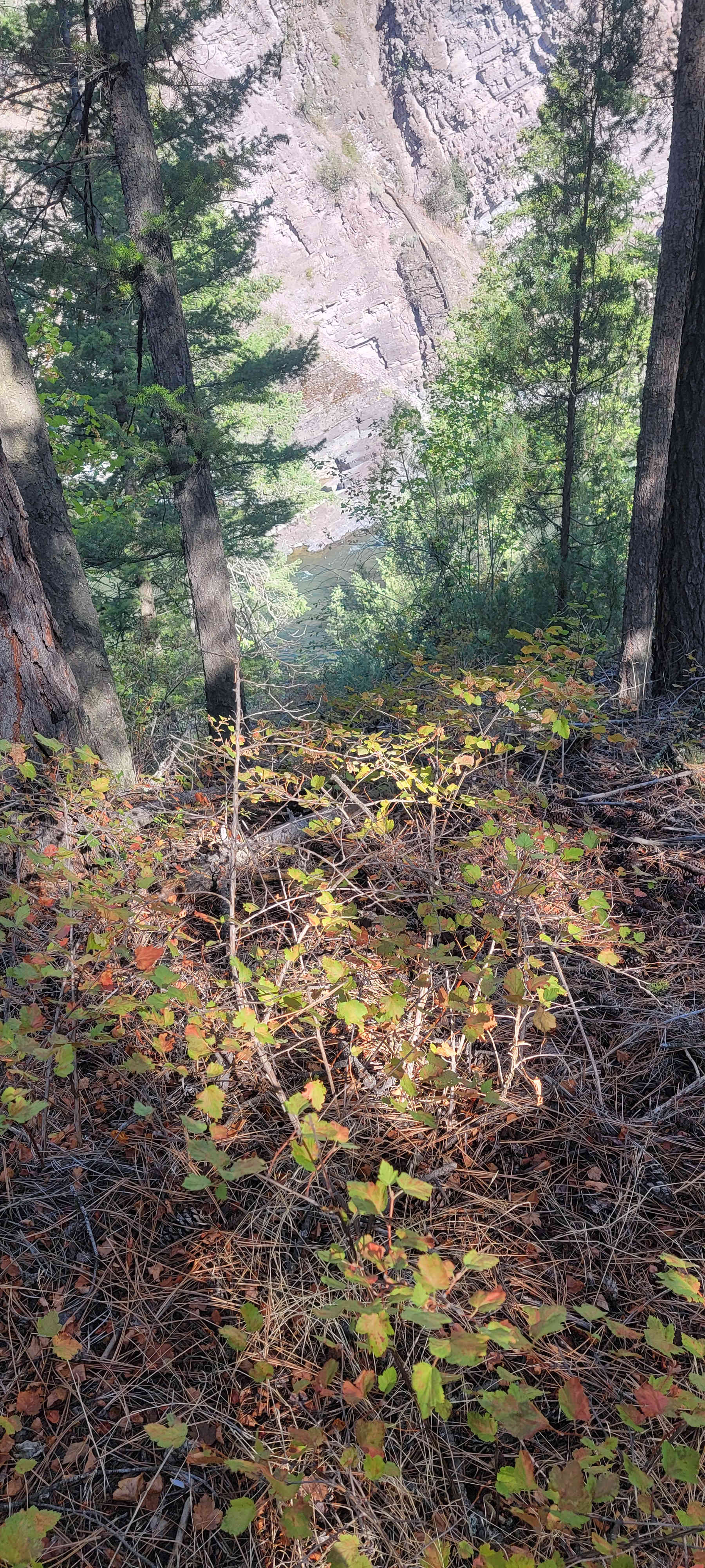Triple Bridges Campground
