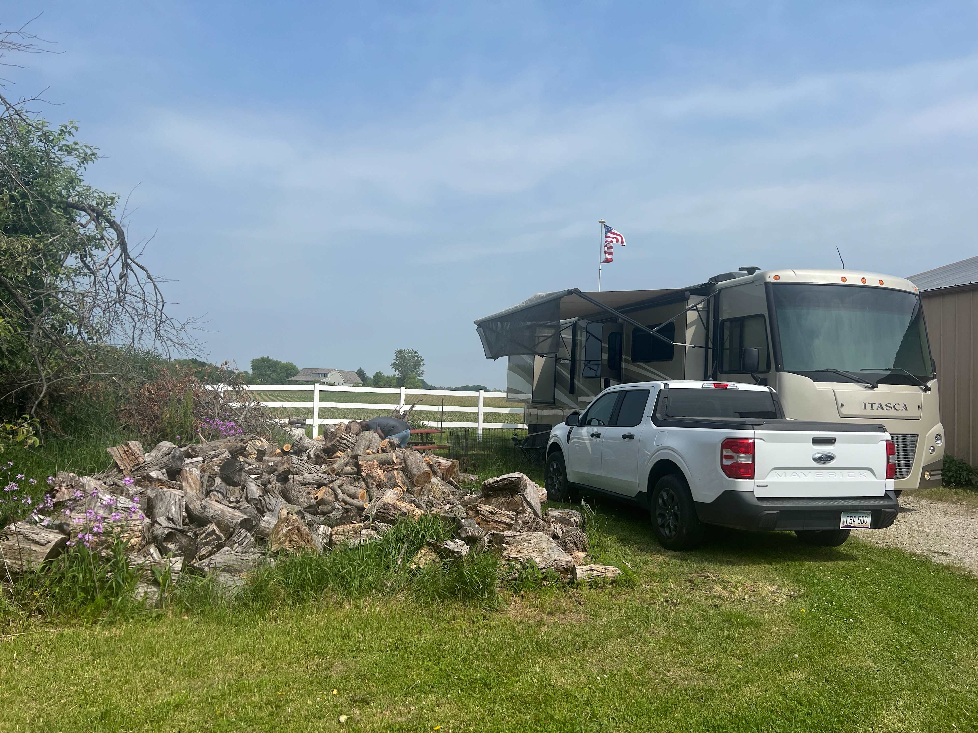 Plenty of firewood for campfires 