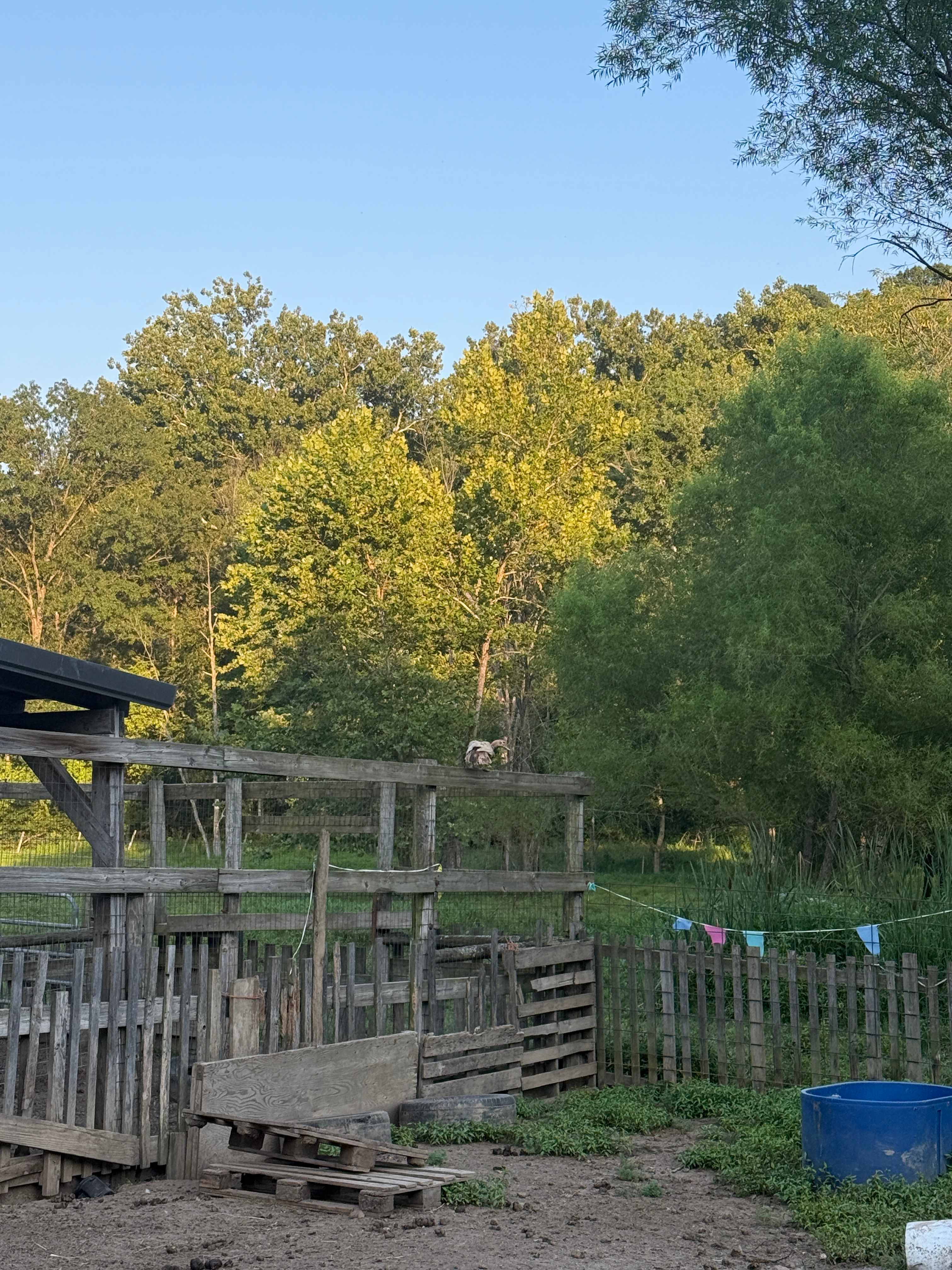 Hummingbird Hollow Outdoors