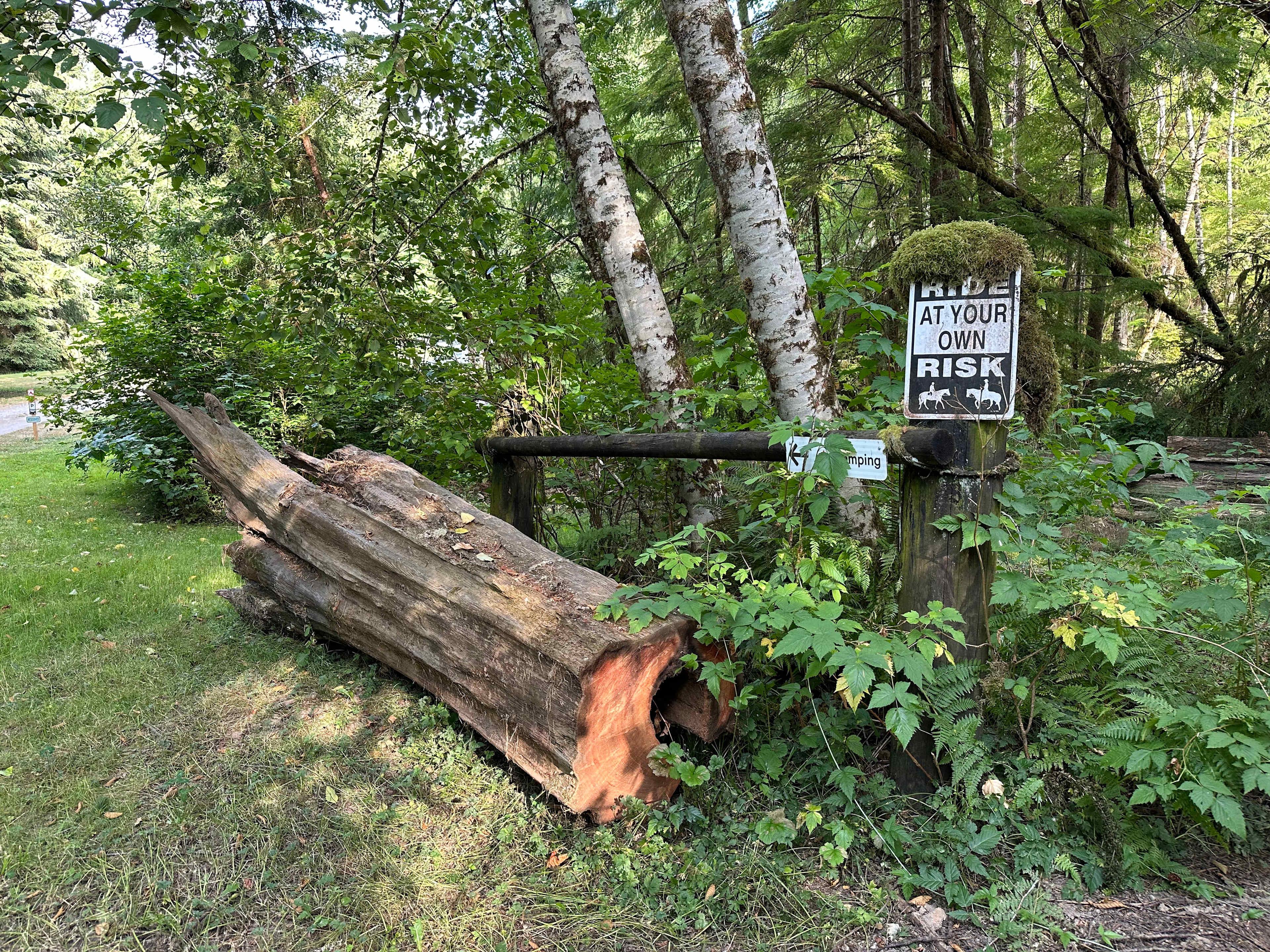 Chuckanut Hills Farm & Camp