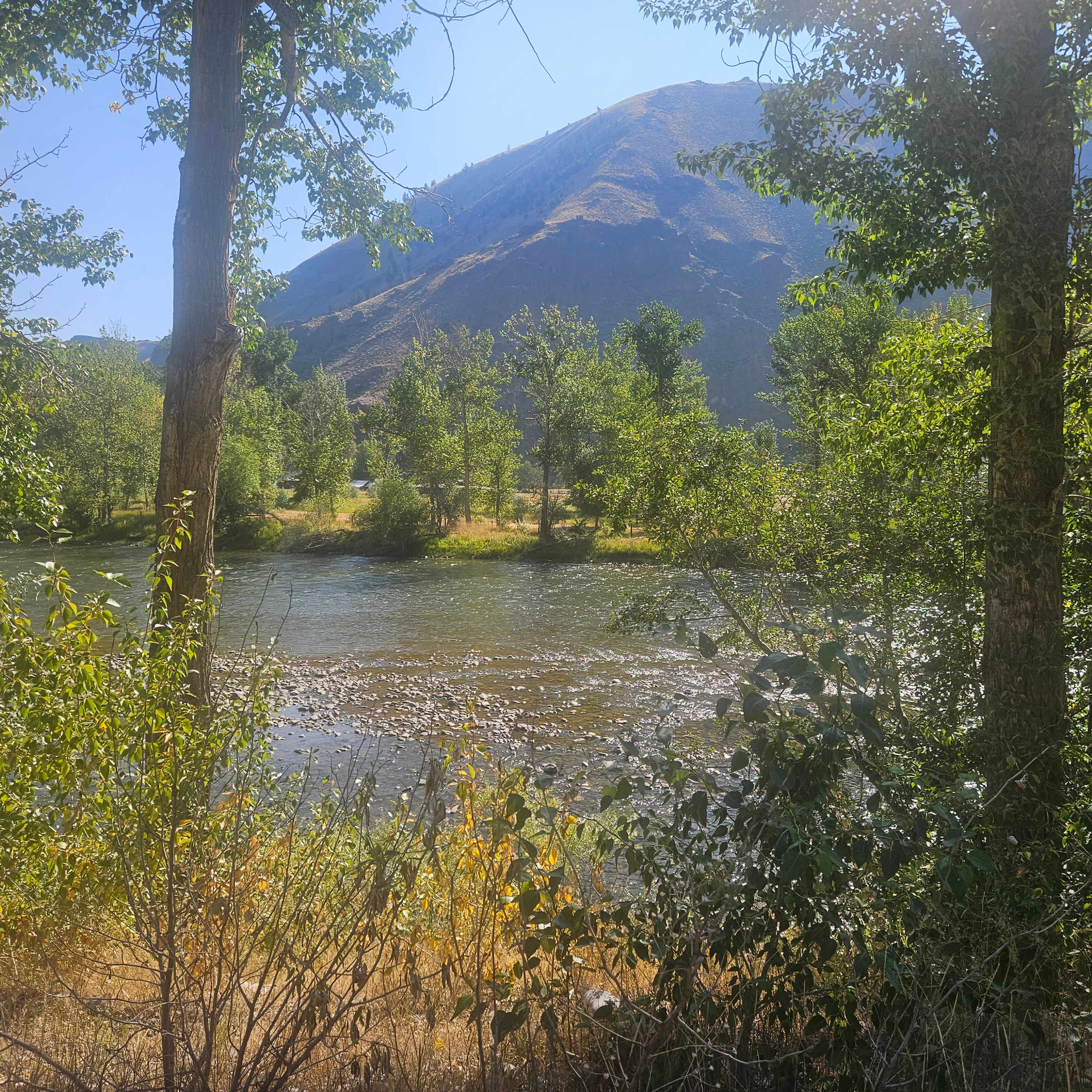 Cactus River Ranch RV