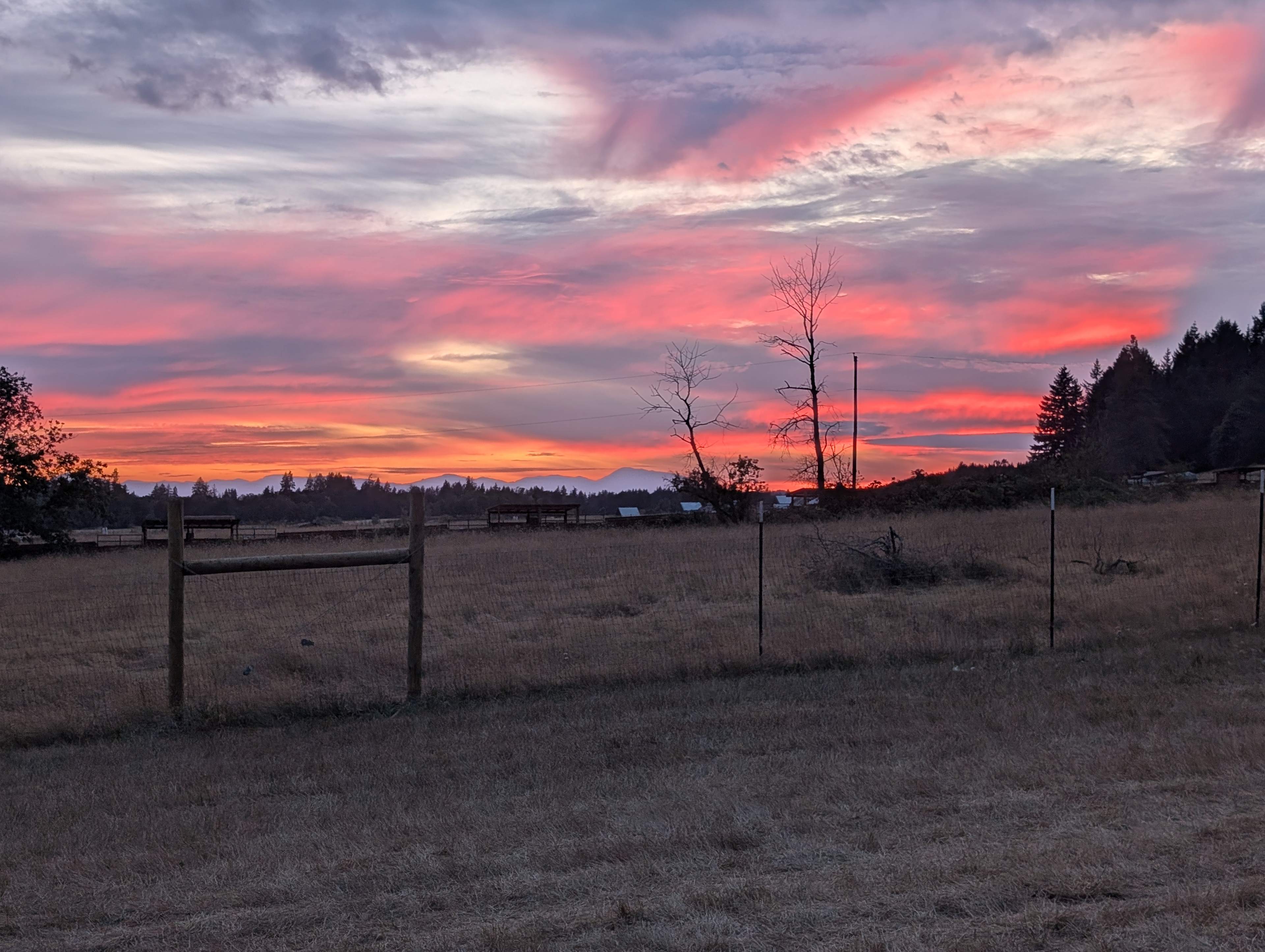 Shearer Farming and Camping