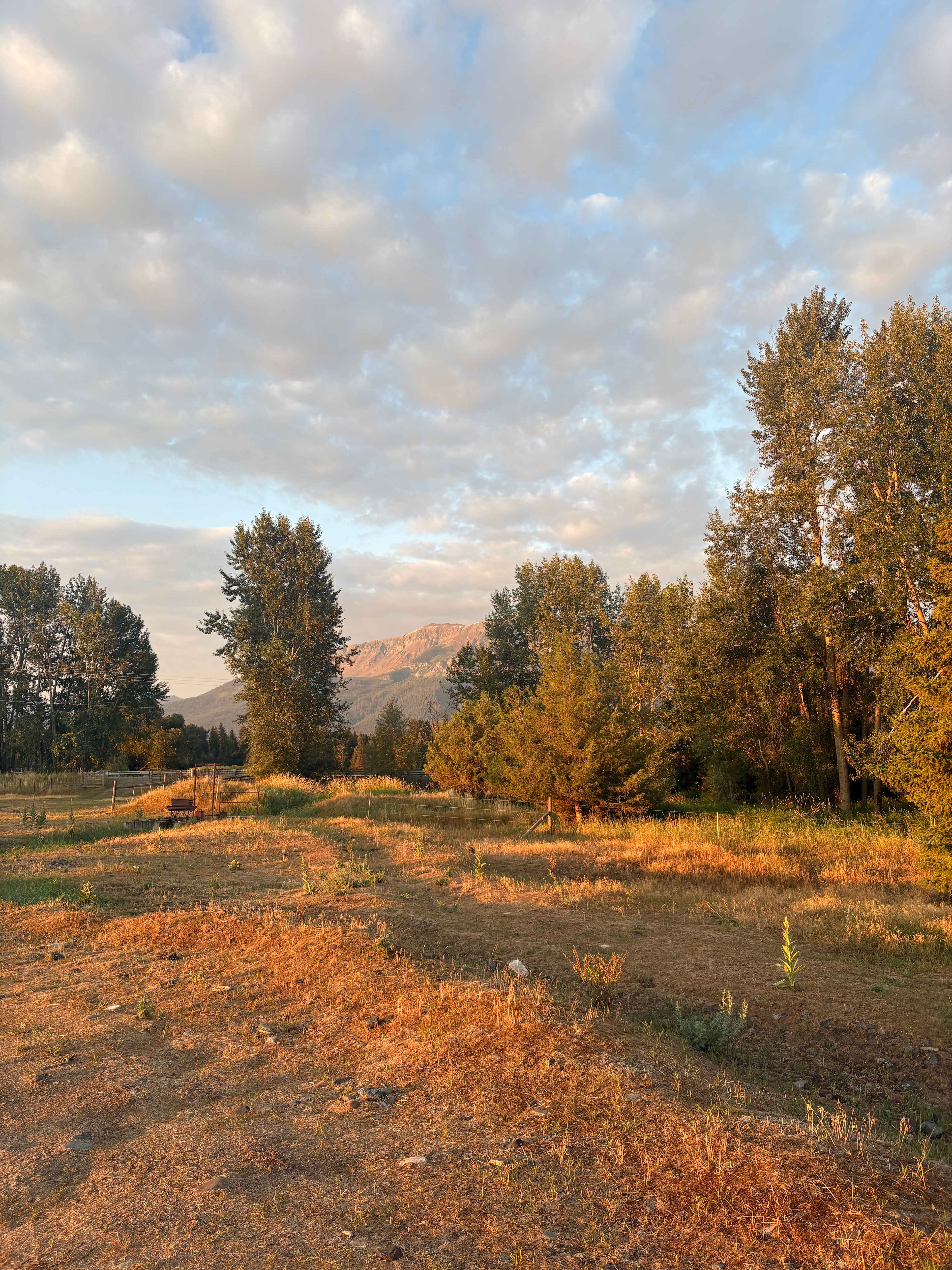 Glamp at the Evans Farm
