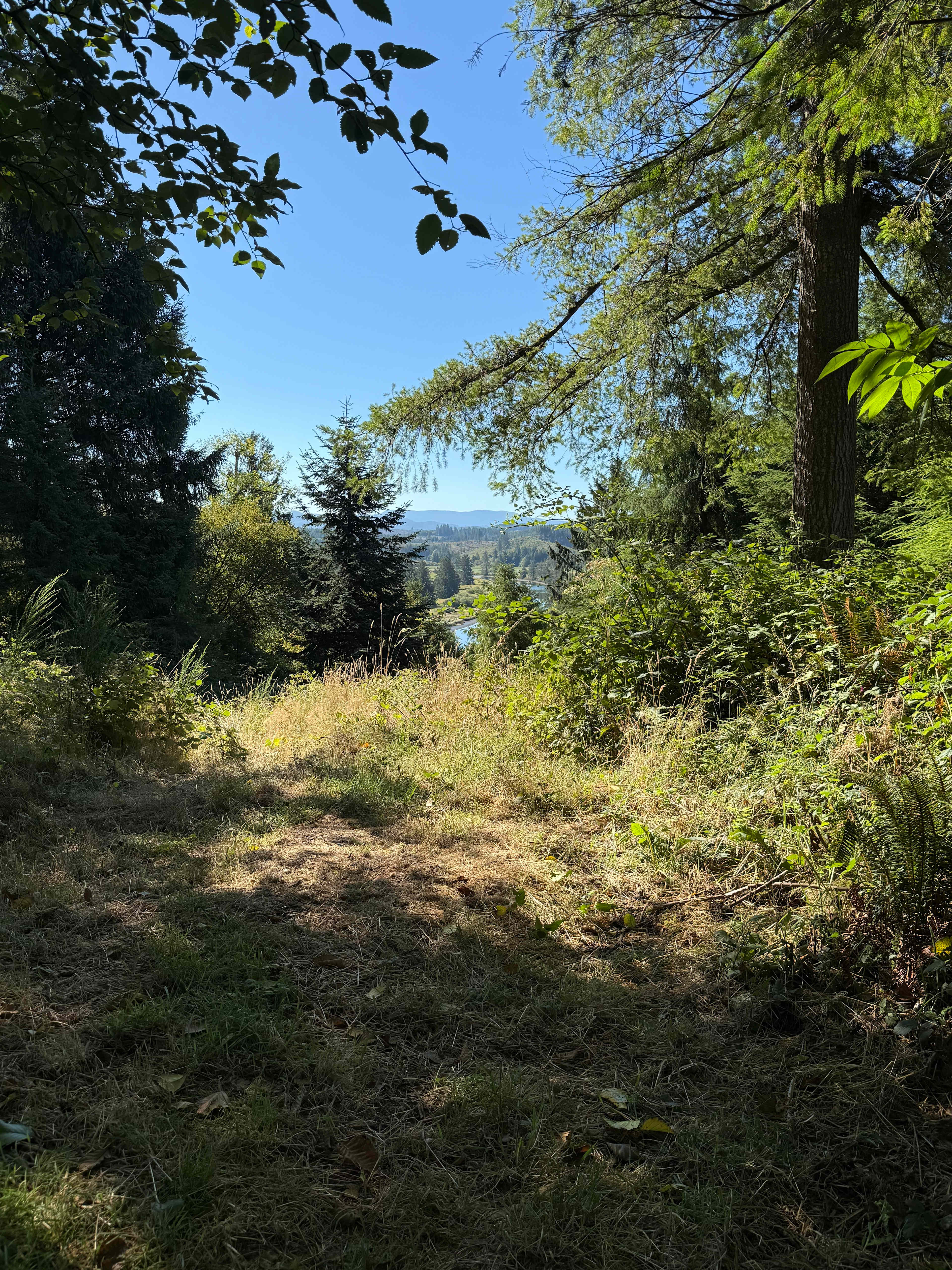 gorgeous view 