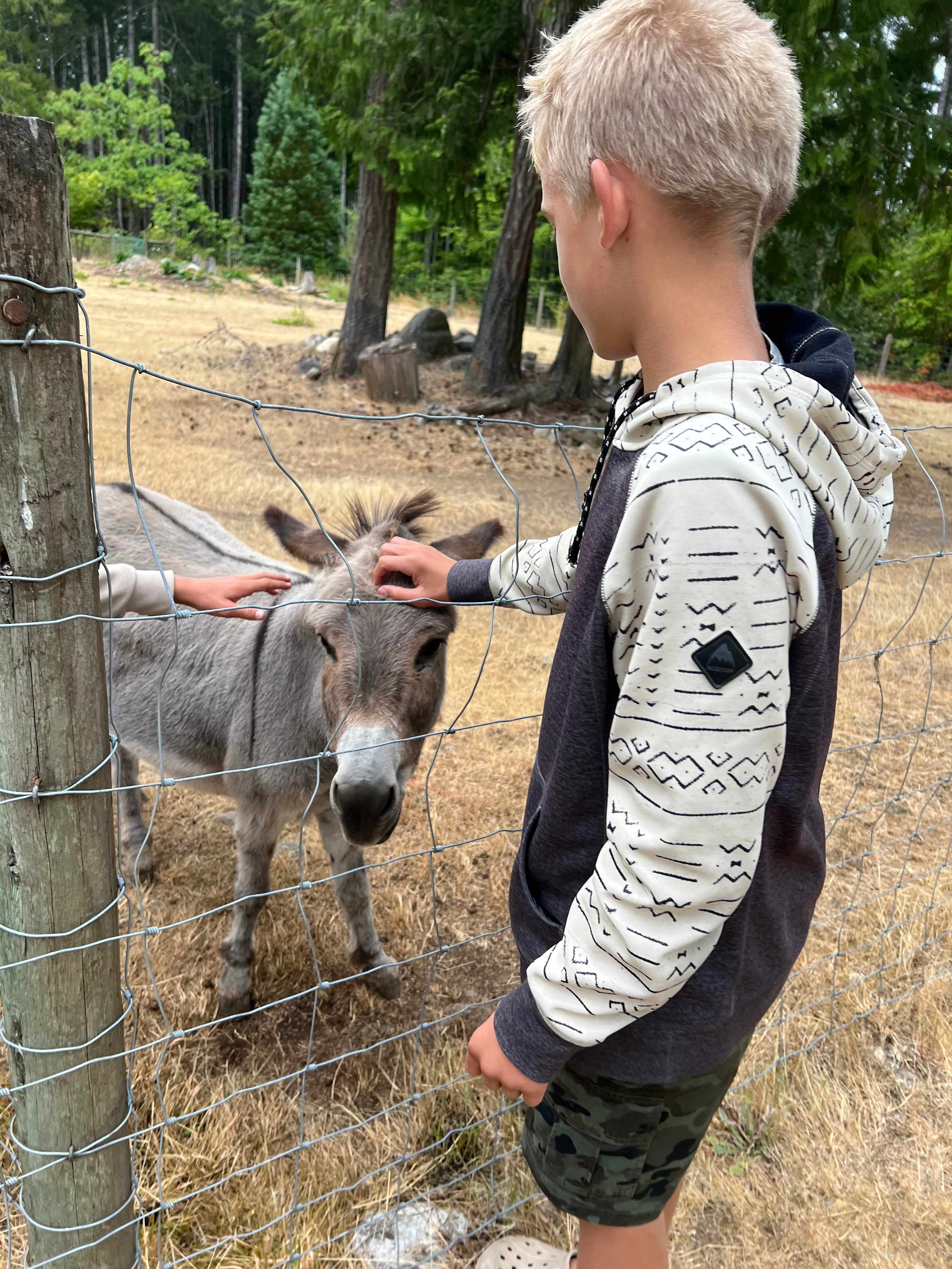 My boys loved the visiting donkey!
