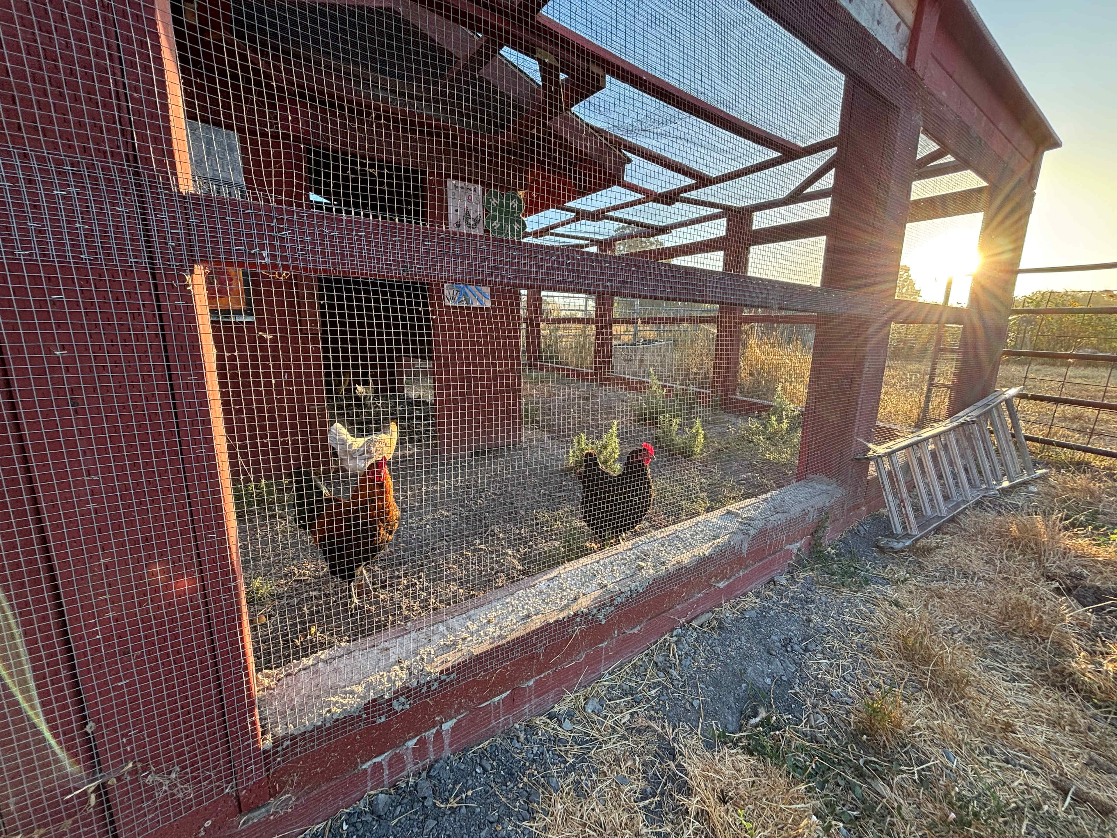 Pharo Pharms Organic Farm-