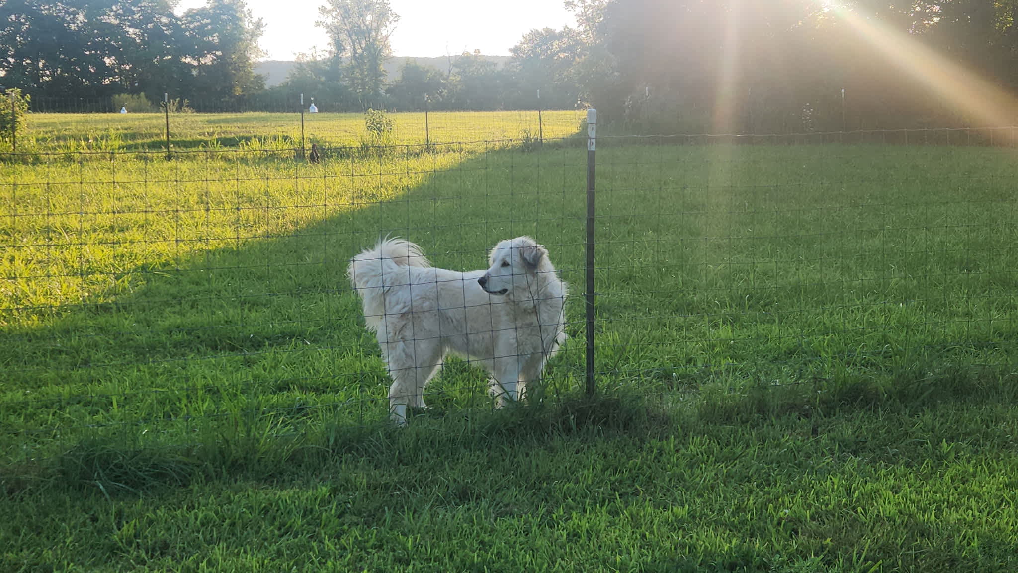 Fairview Farms Airfield