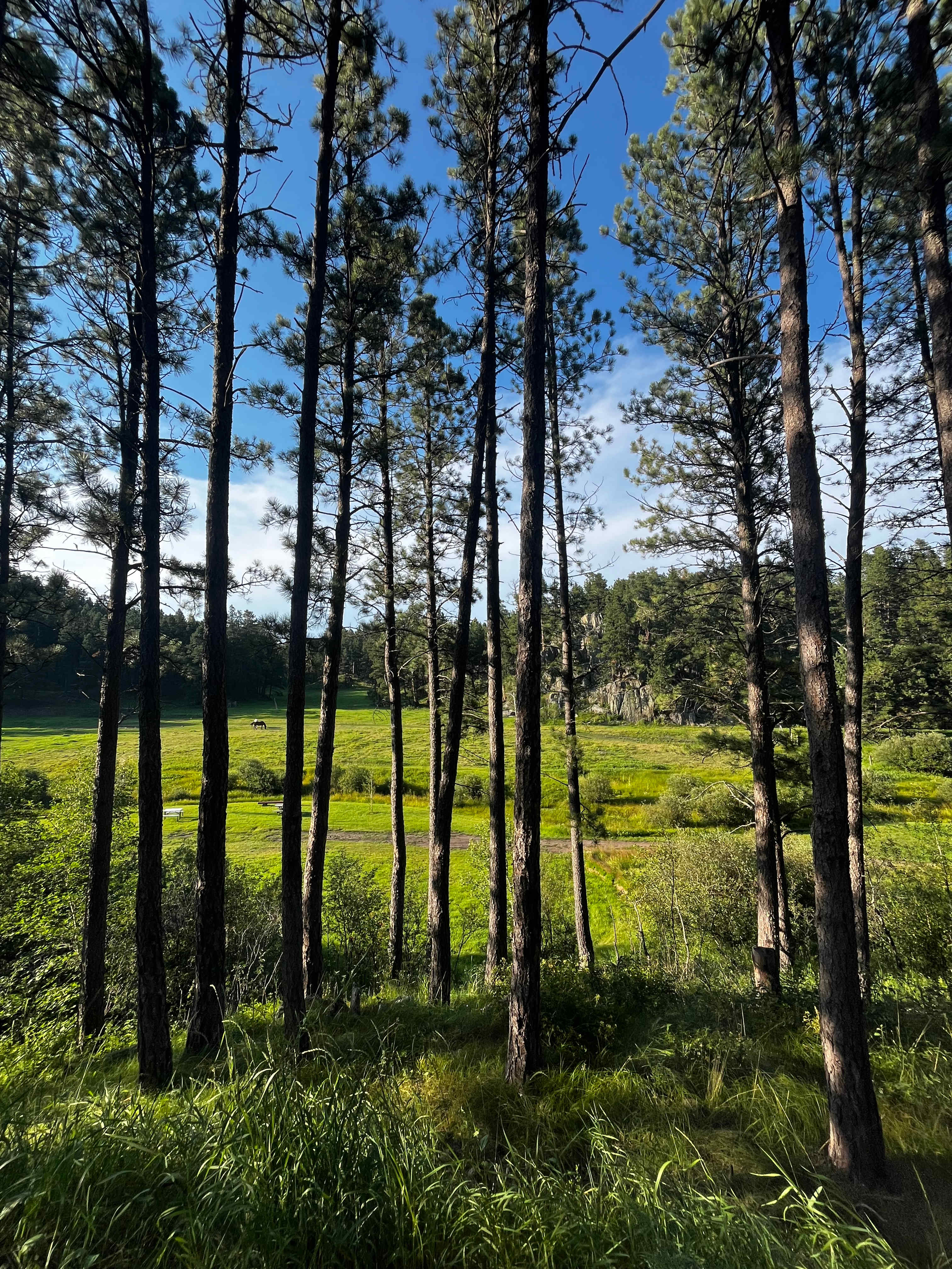 Horse Creek Resort RV Sites