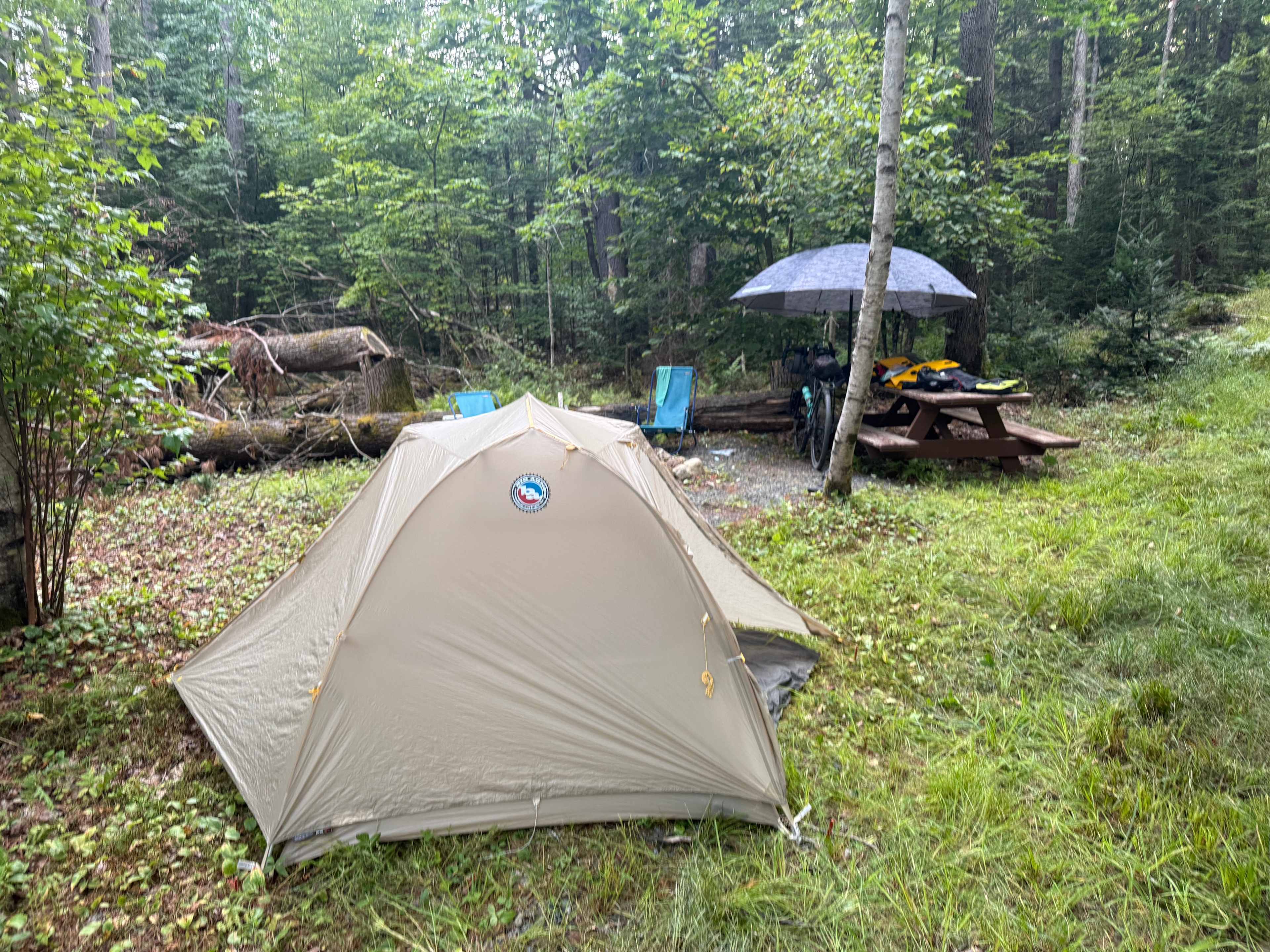 Picture of the site