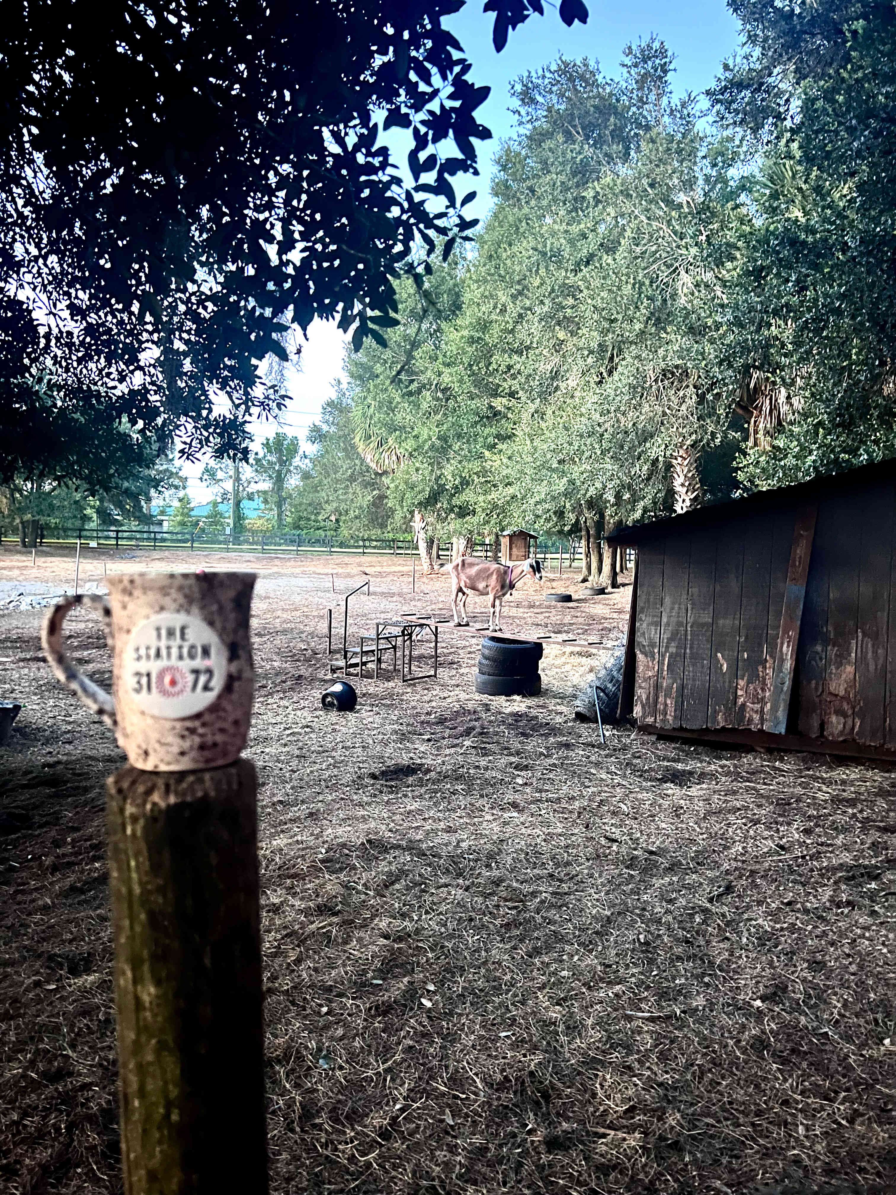 Coffee with company