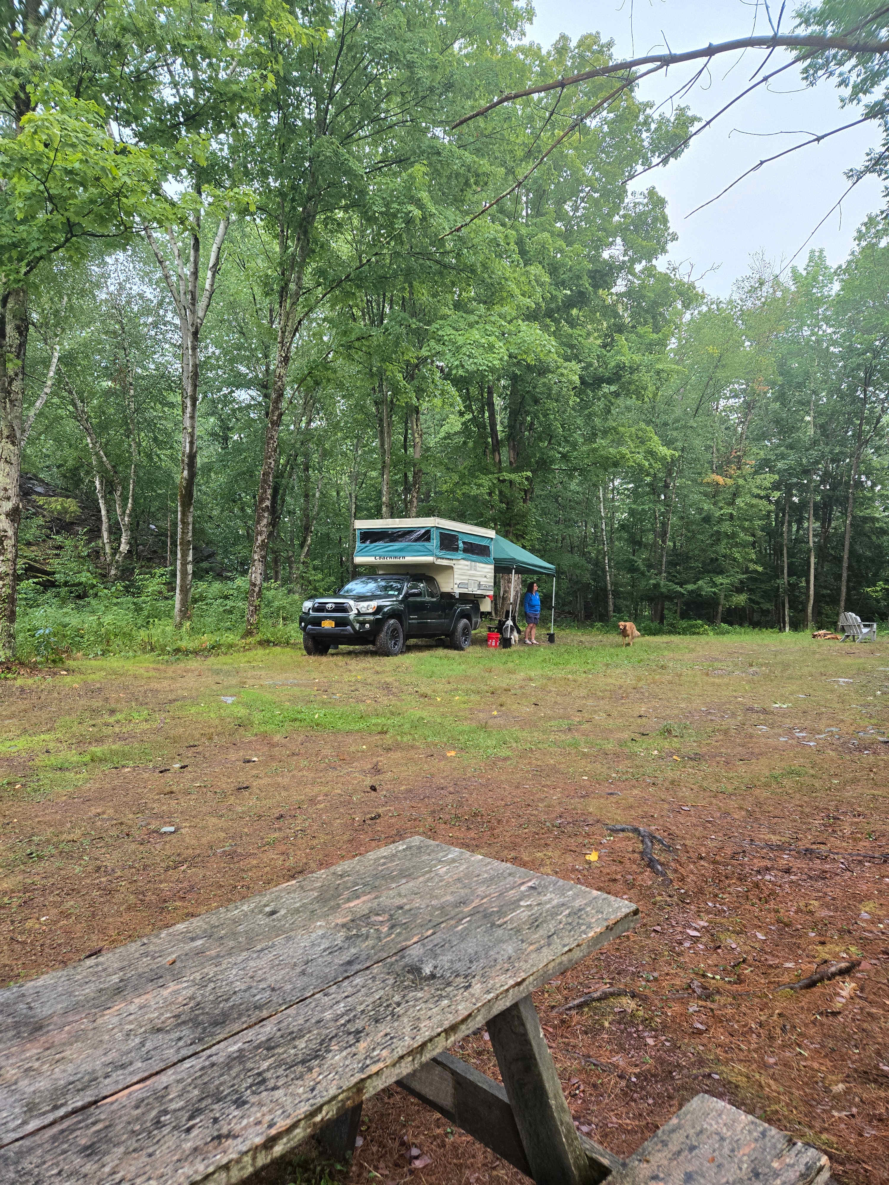 Huge site, zoom approved