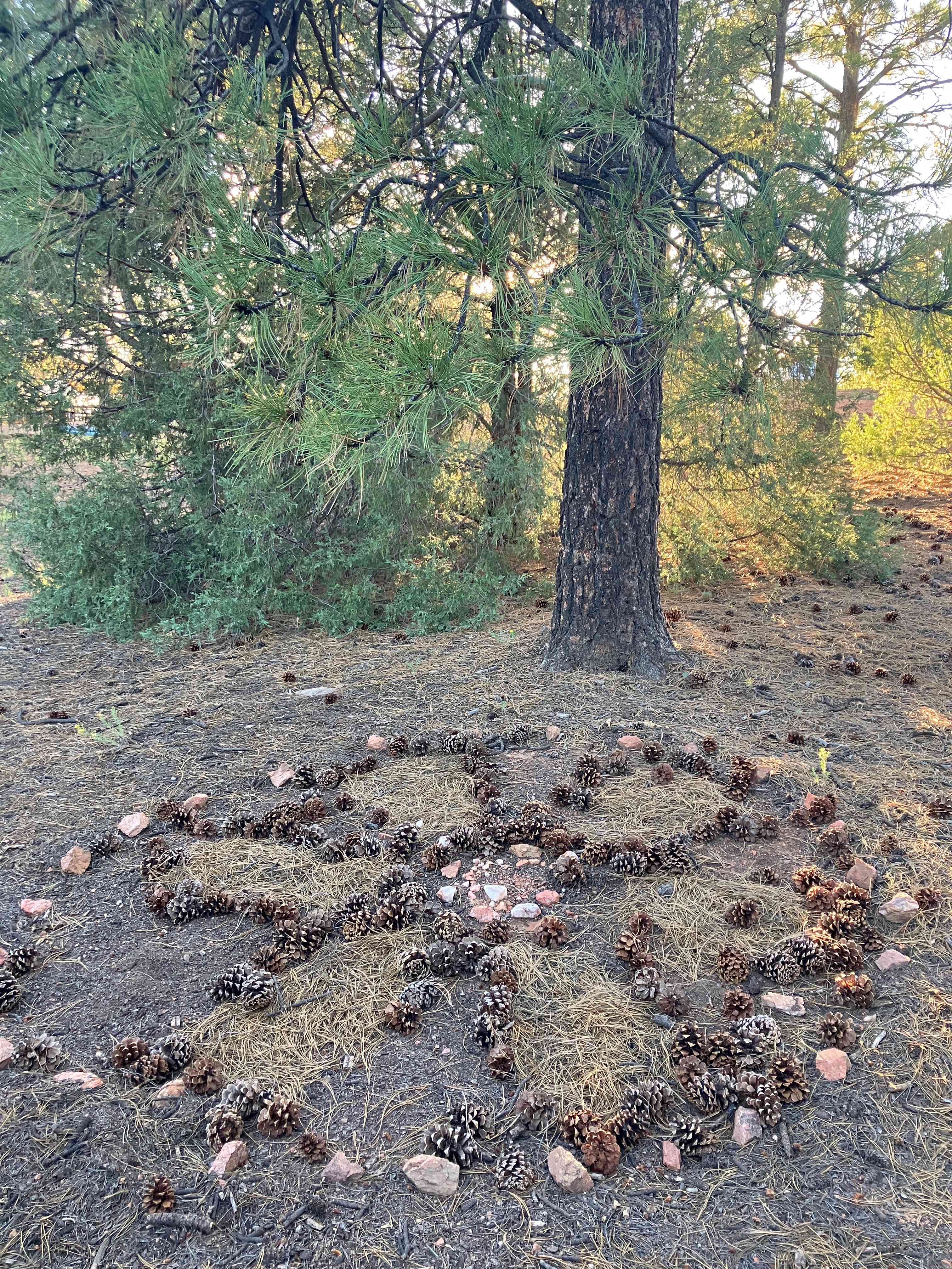 Campers making natural art.