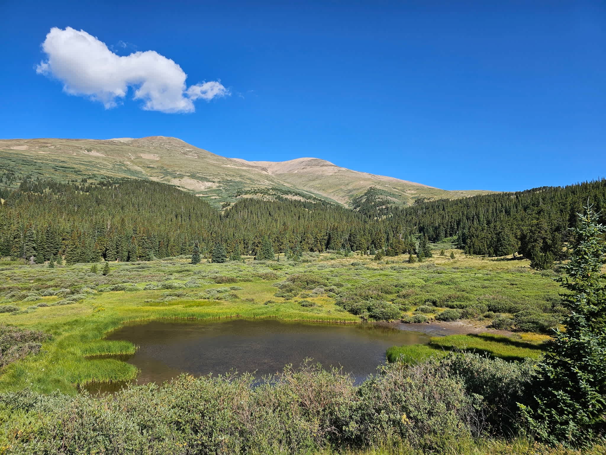 Meadow Hot Springs Glamping Cabin