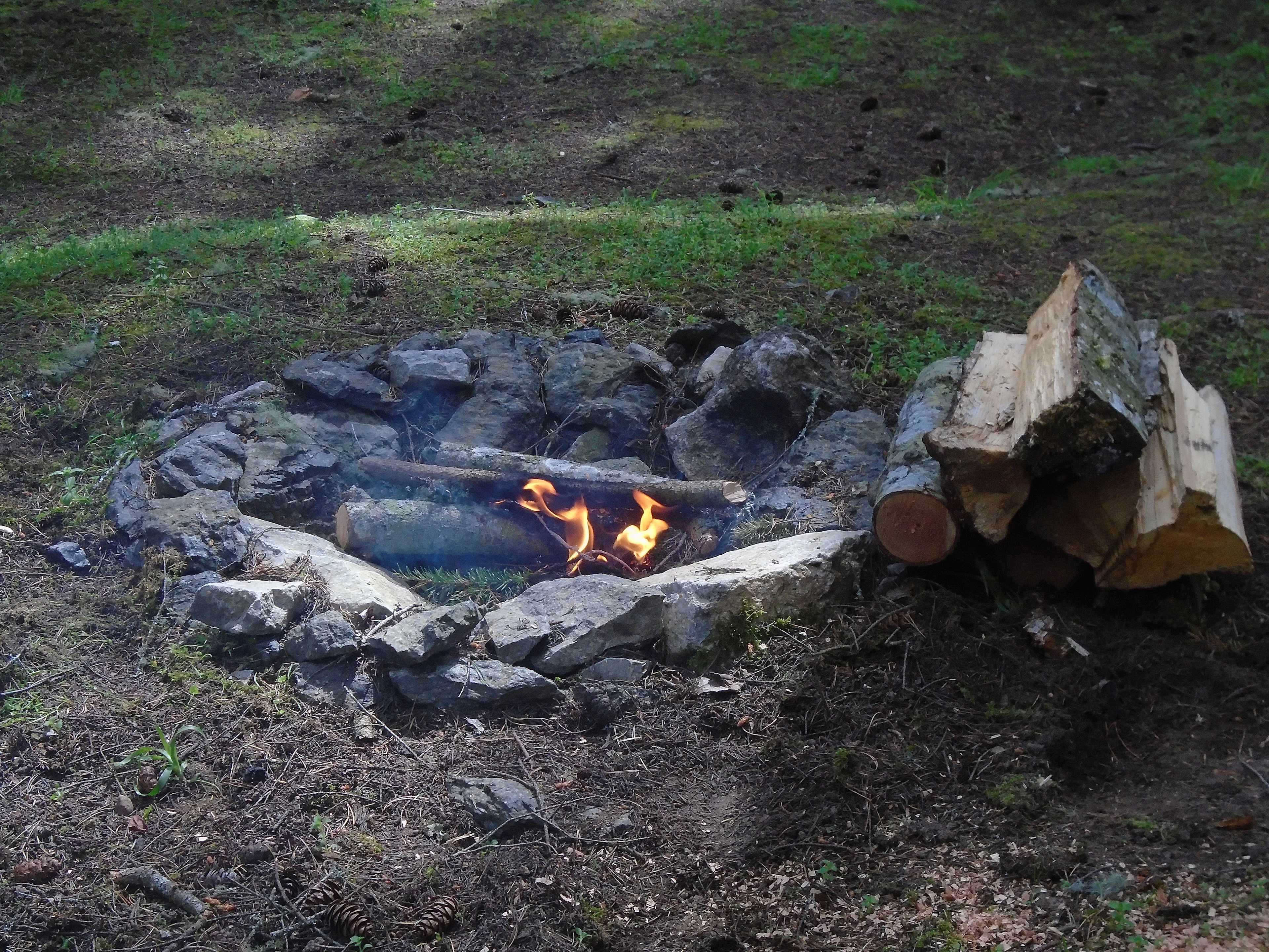 Evergreen Campground - SJ Island