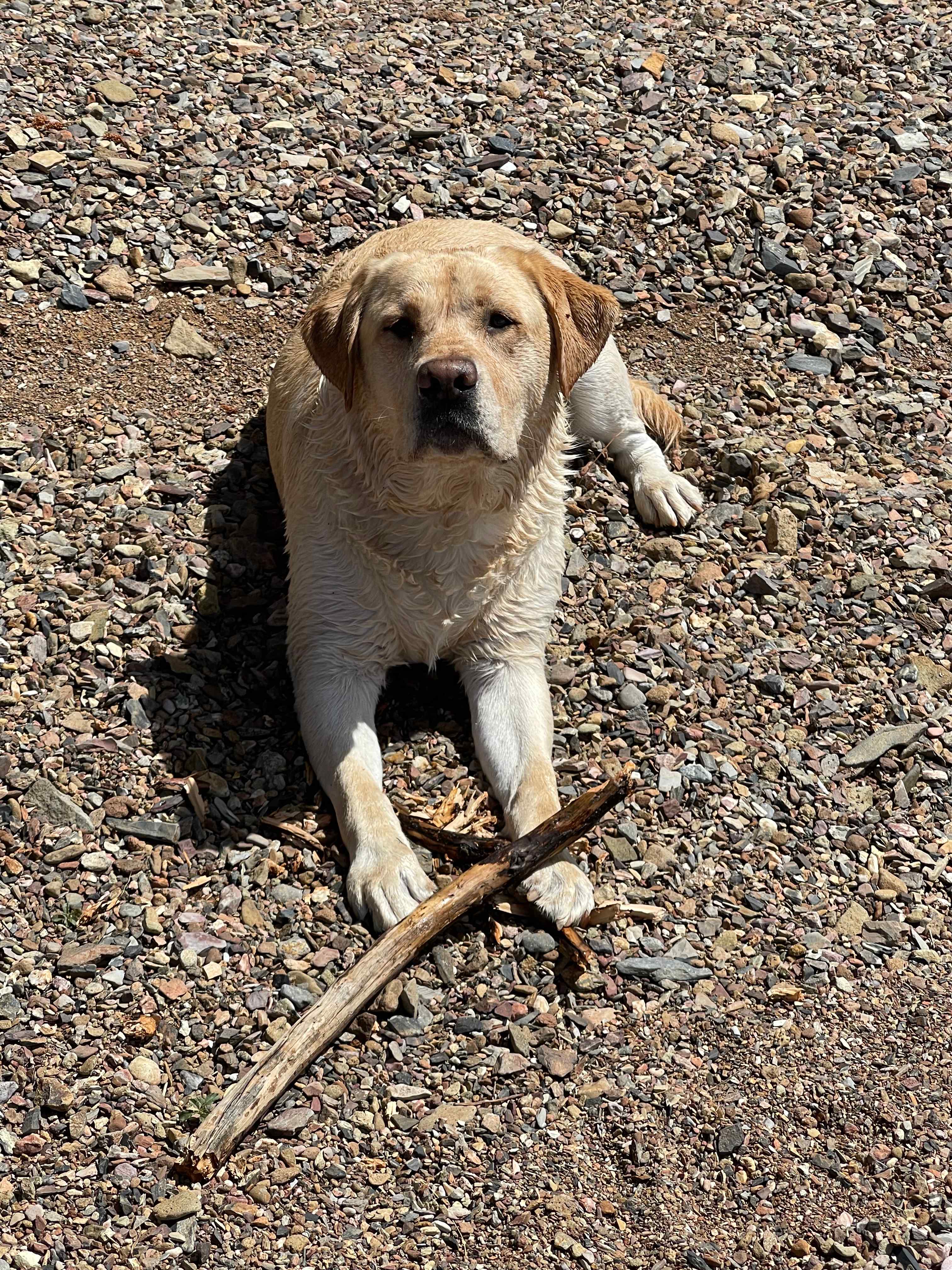 TURNER BEACH AT LAKE ALMANOR