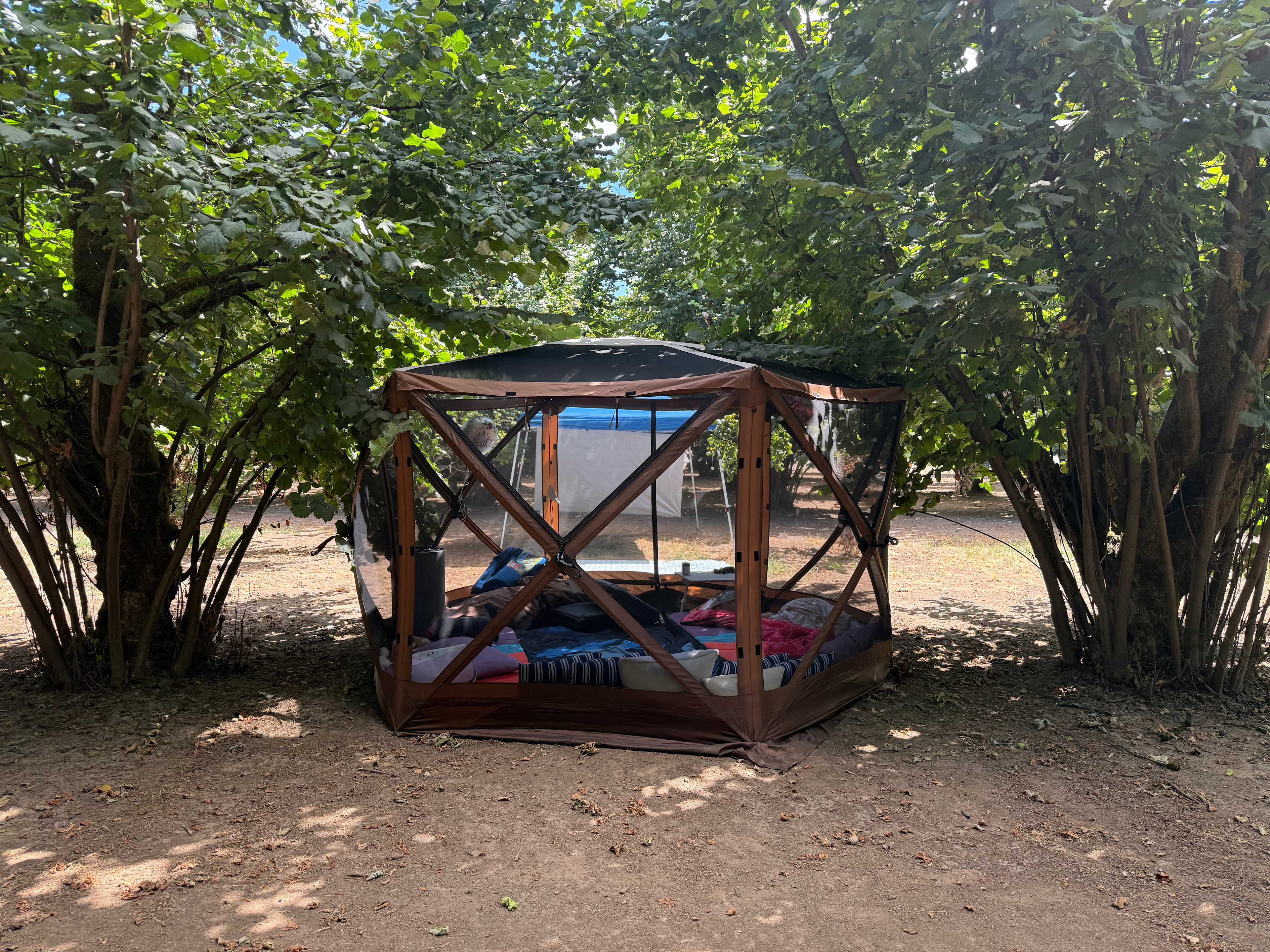 Tranquil Orchards and Wine Tours
