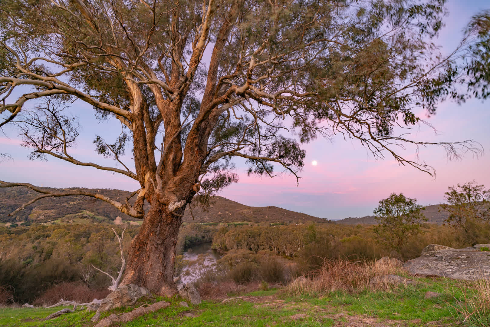 Moonrise over the Goulburn River