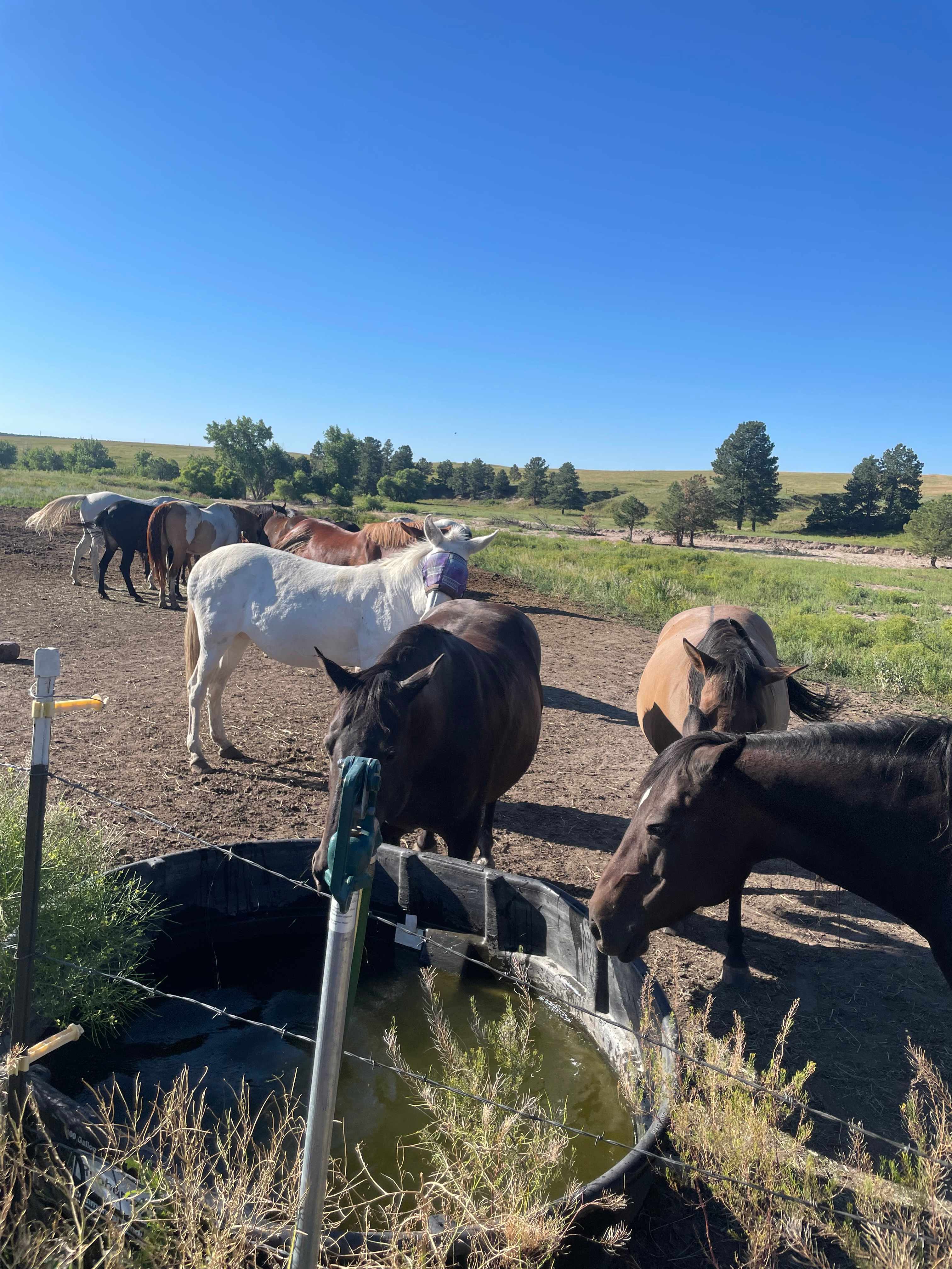 120 Acre Animal Sanctuary