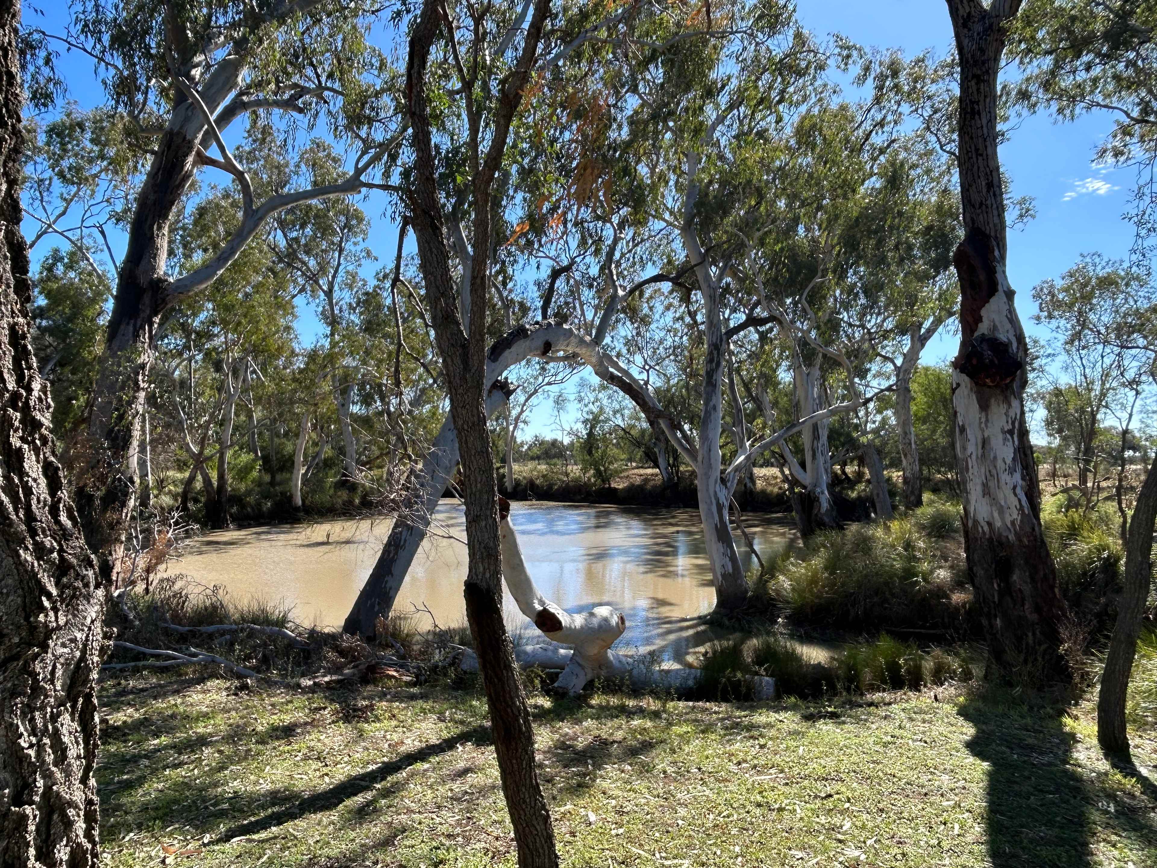 Brigalow Creek Camp