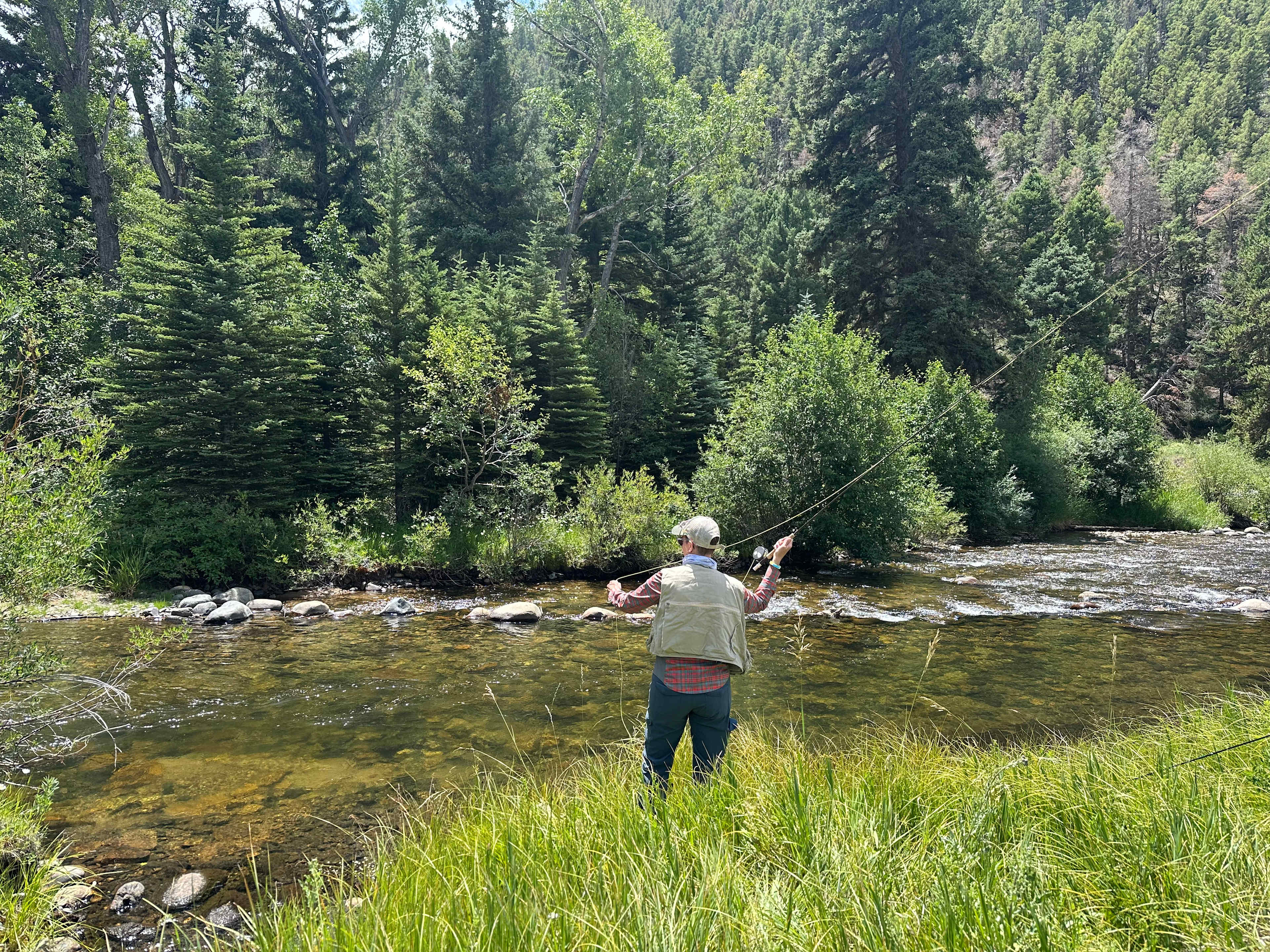 The Gold Links Ranch