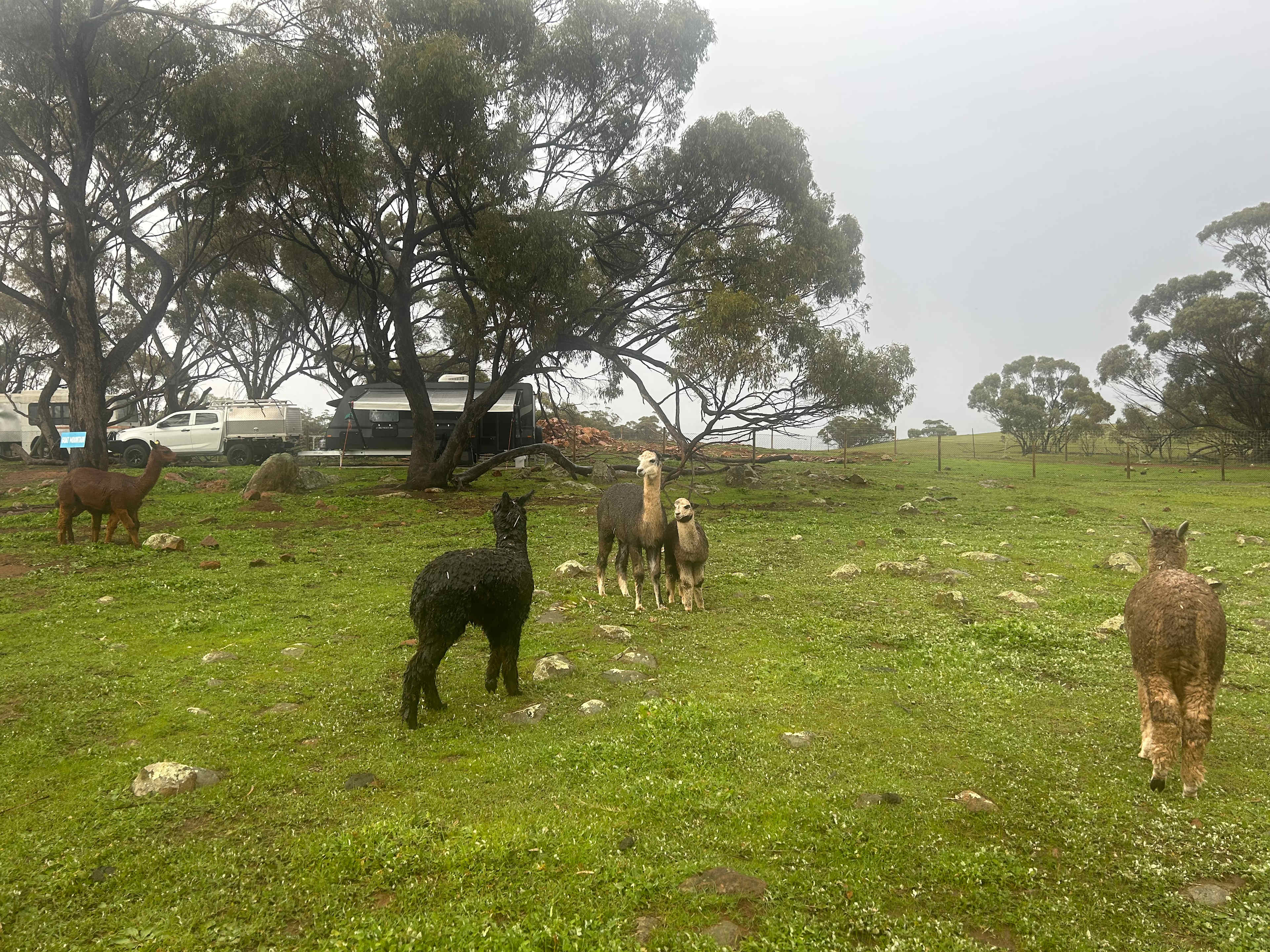 Sandalwood Downs  Farm Stay Toodyay