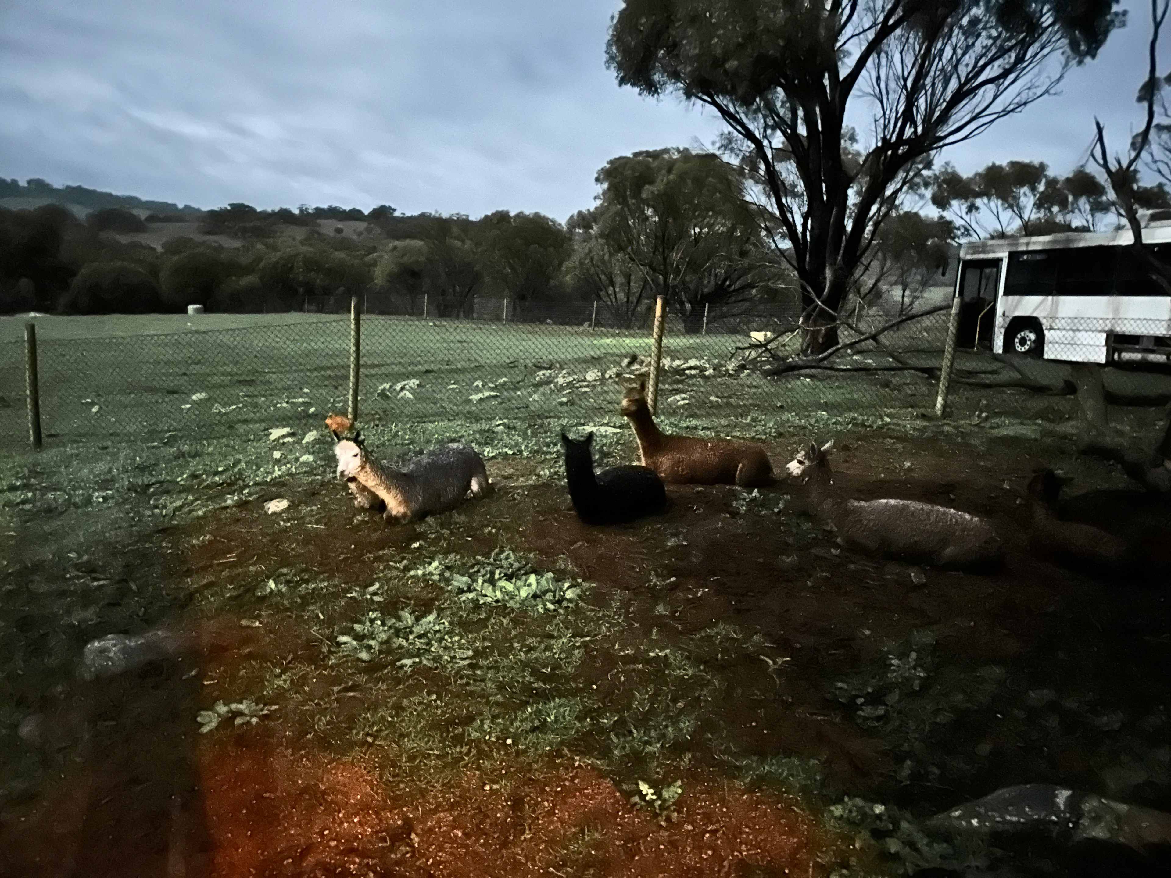 Sandalwood Downs  Farm Stay Toodyay