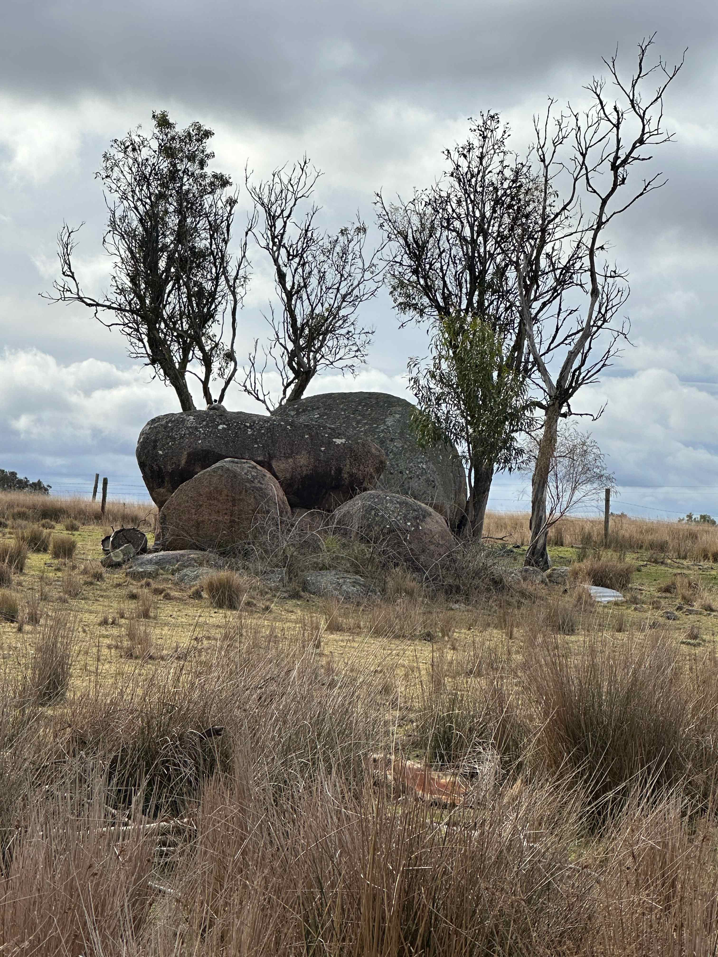 Bush Farm Camp by the Dam
