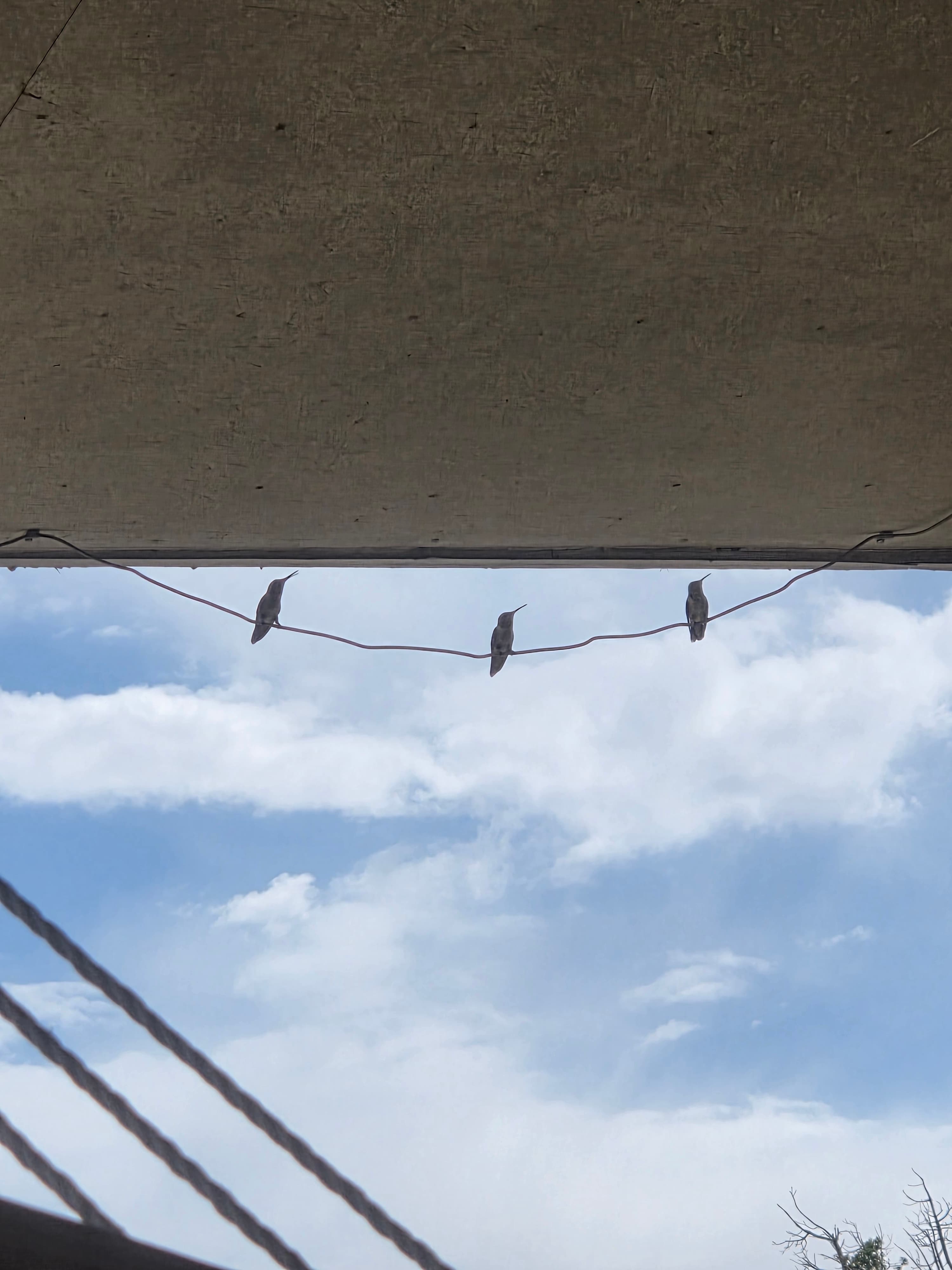 Shiloh Ranch Guesthouse