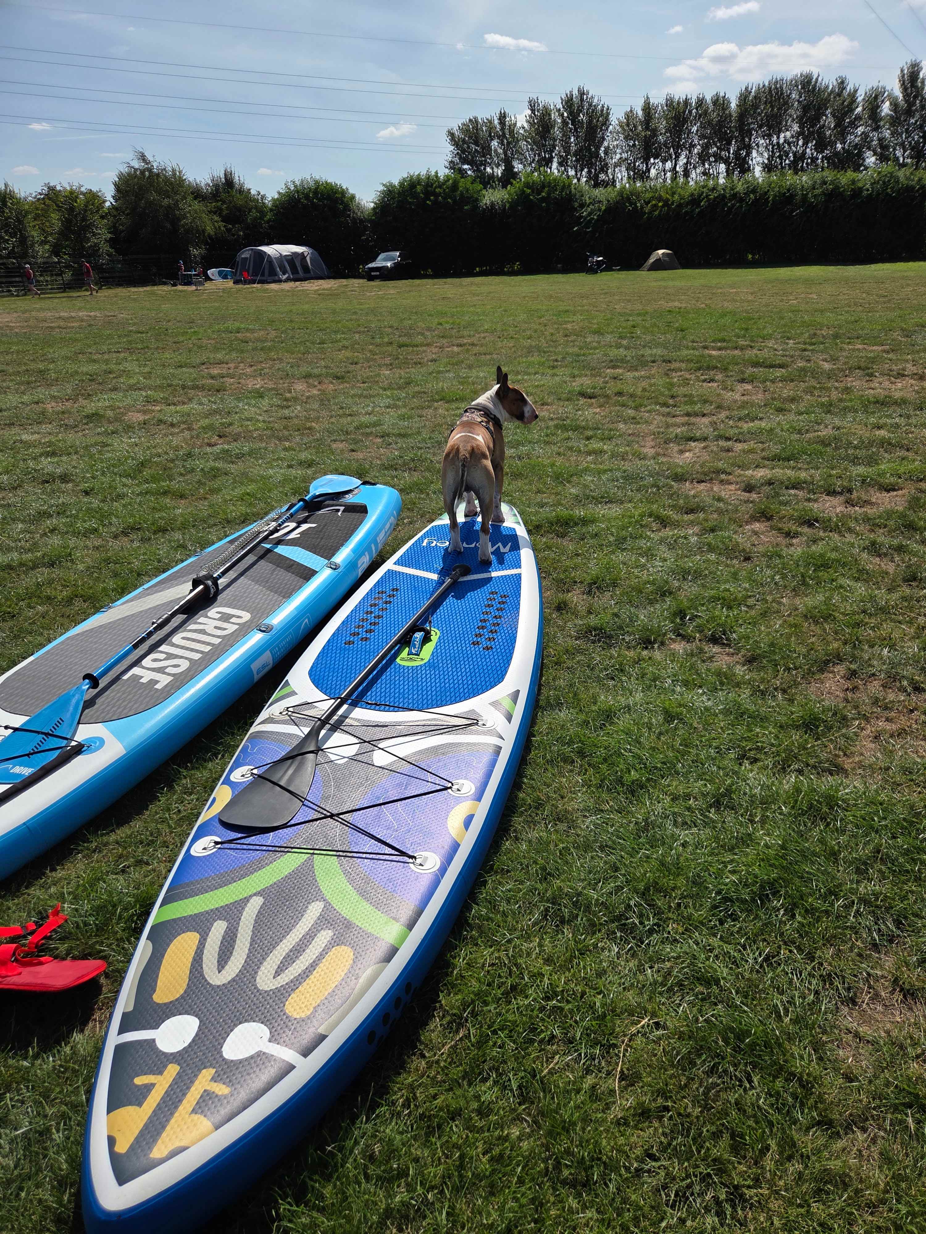 Four Winds Camping, Canoeing & SUP