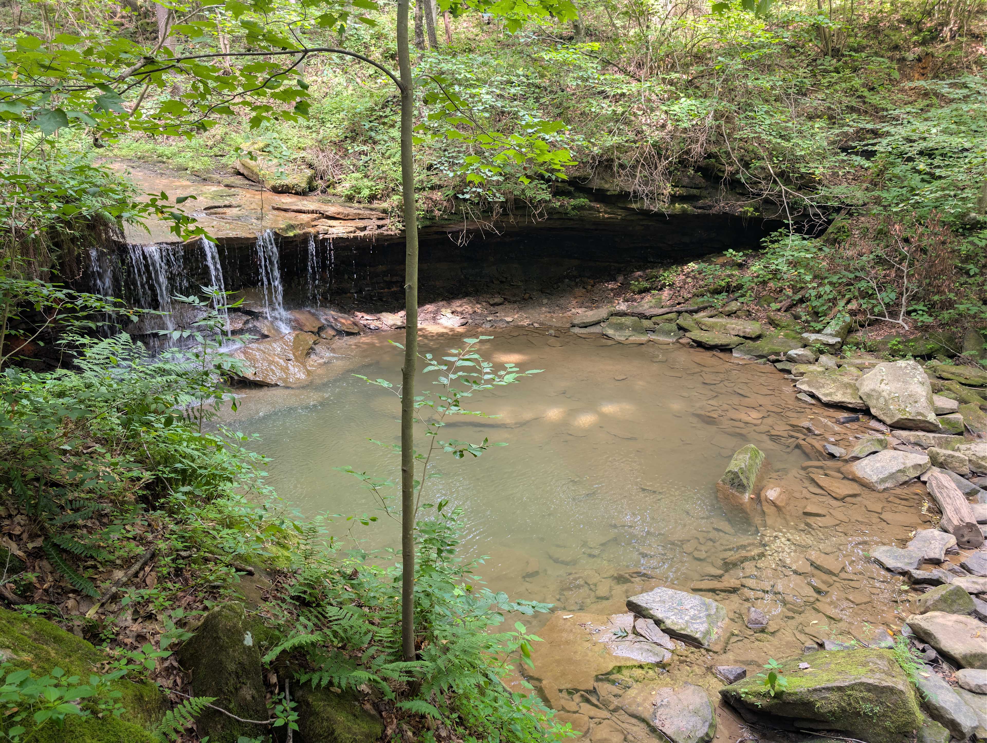 River Hills Above the Allegheny
