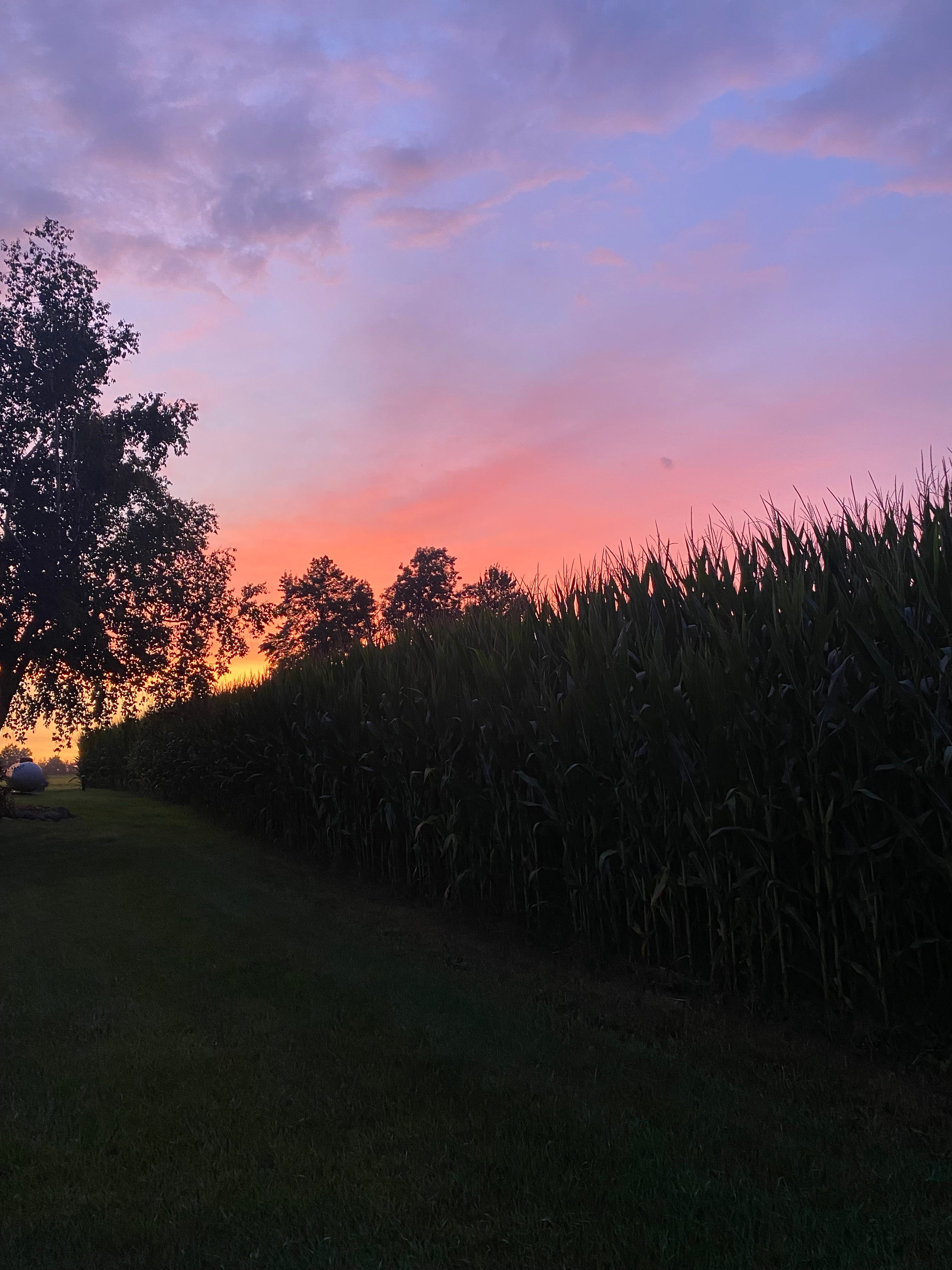 Koeller Century Farm
