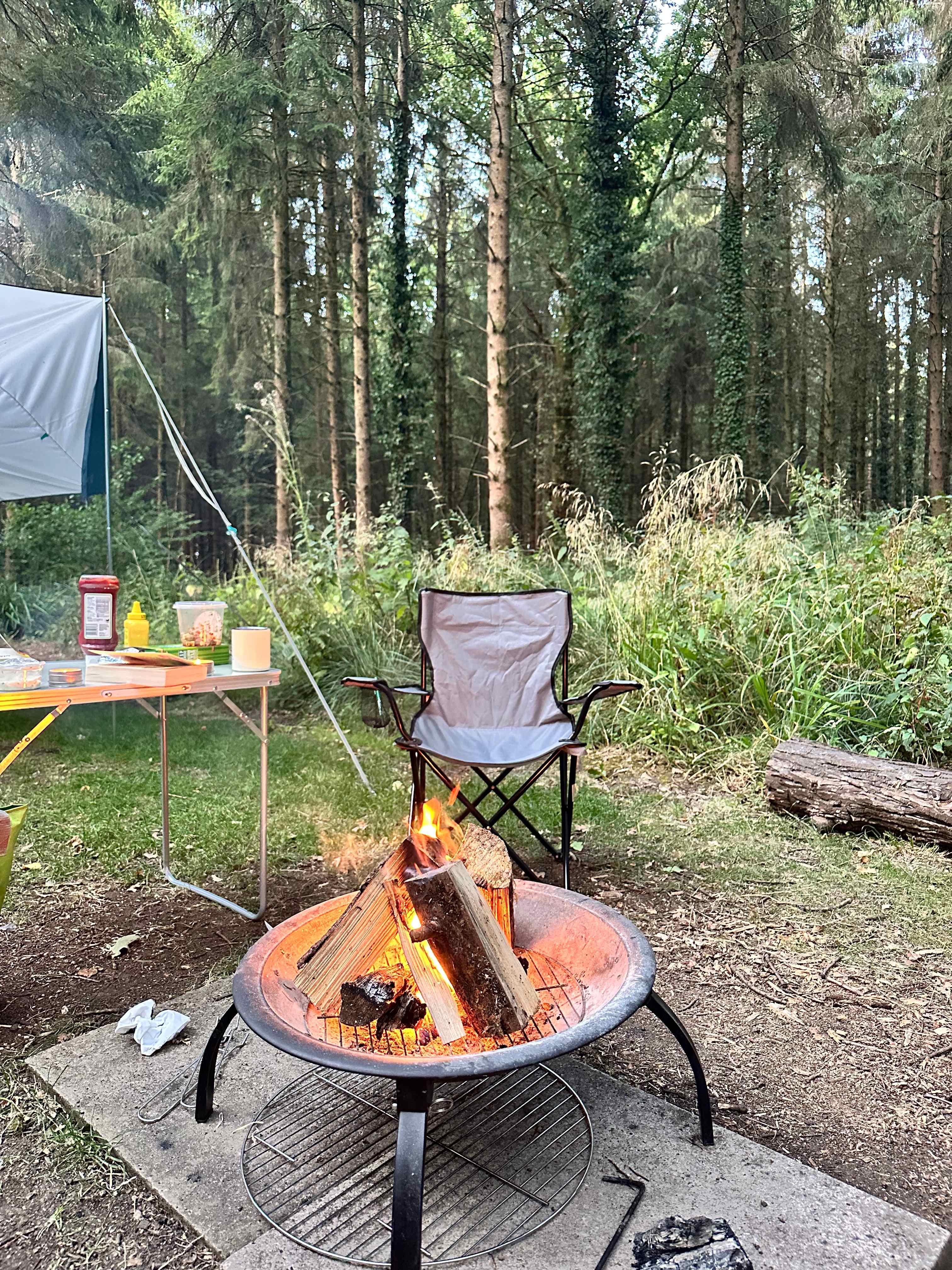 Bridgewood Camping - Woodland camps