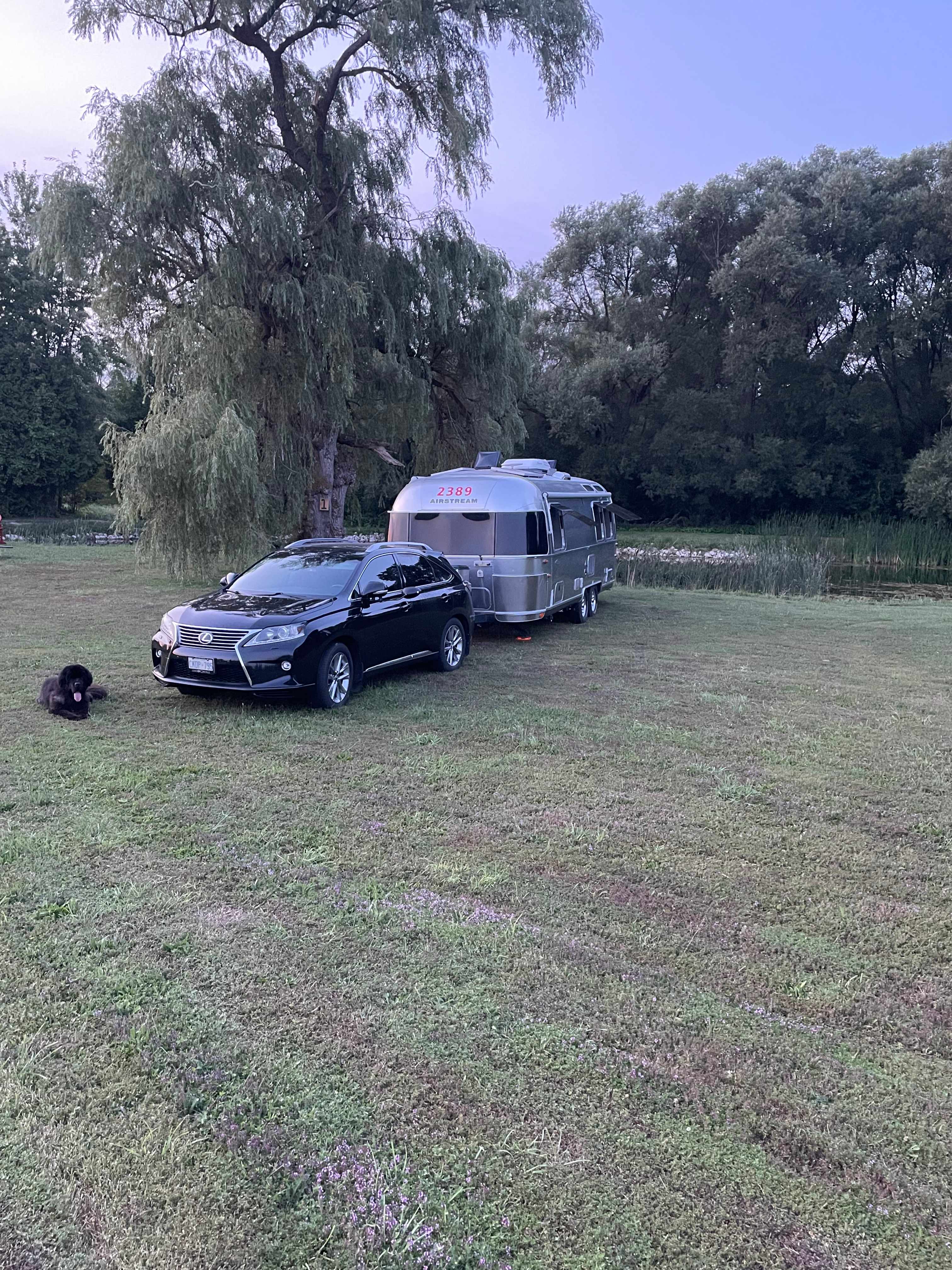 An evening by the pond 