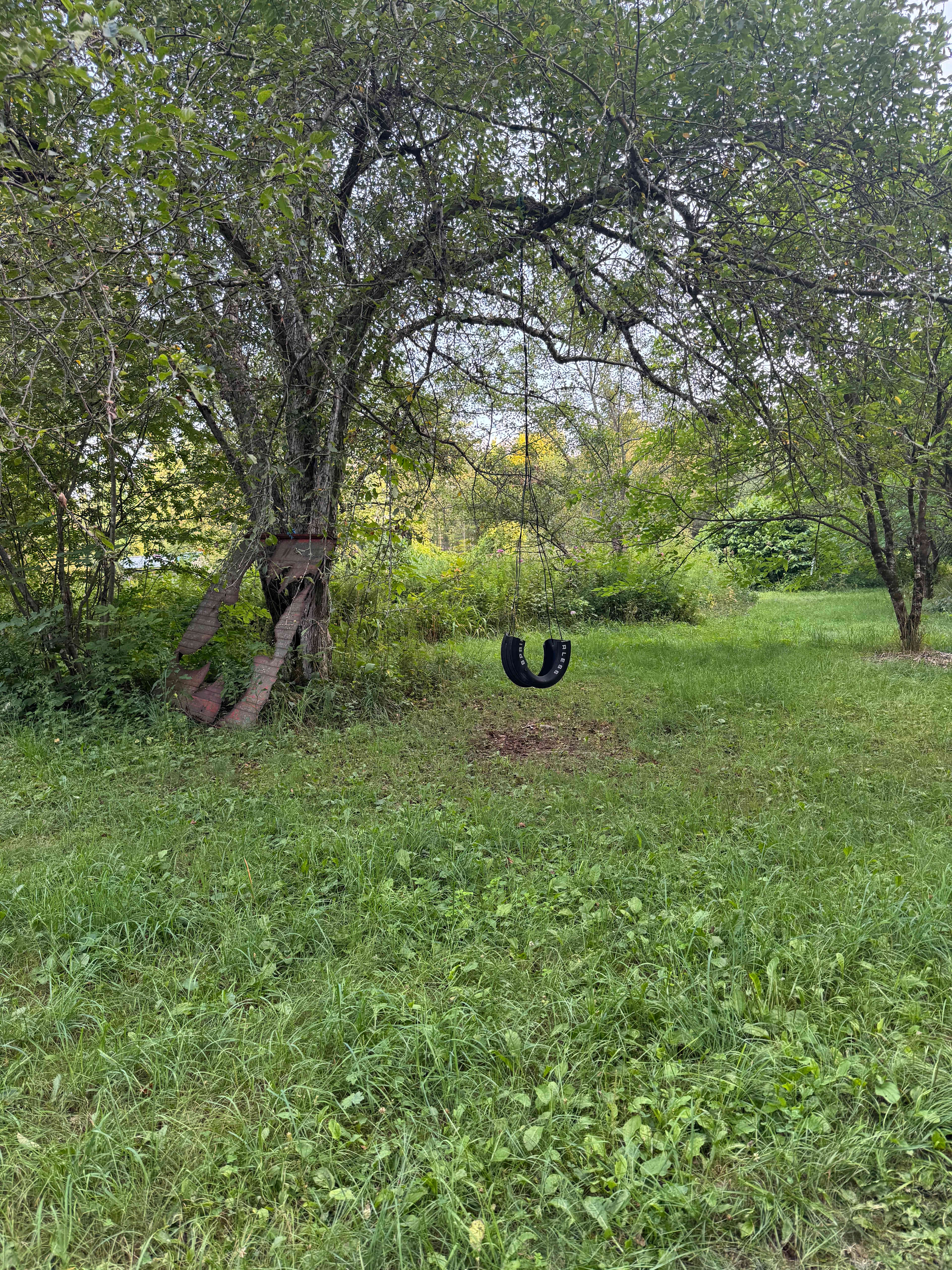 Streeter Mountain Farm