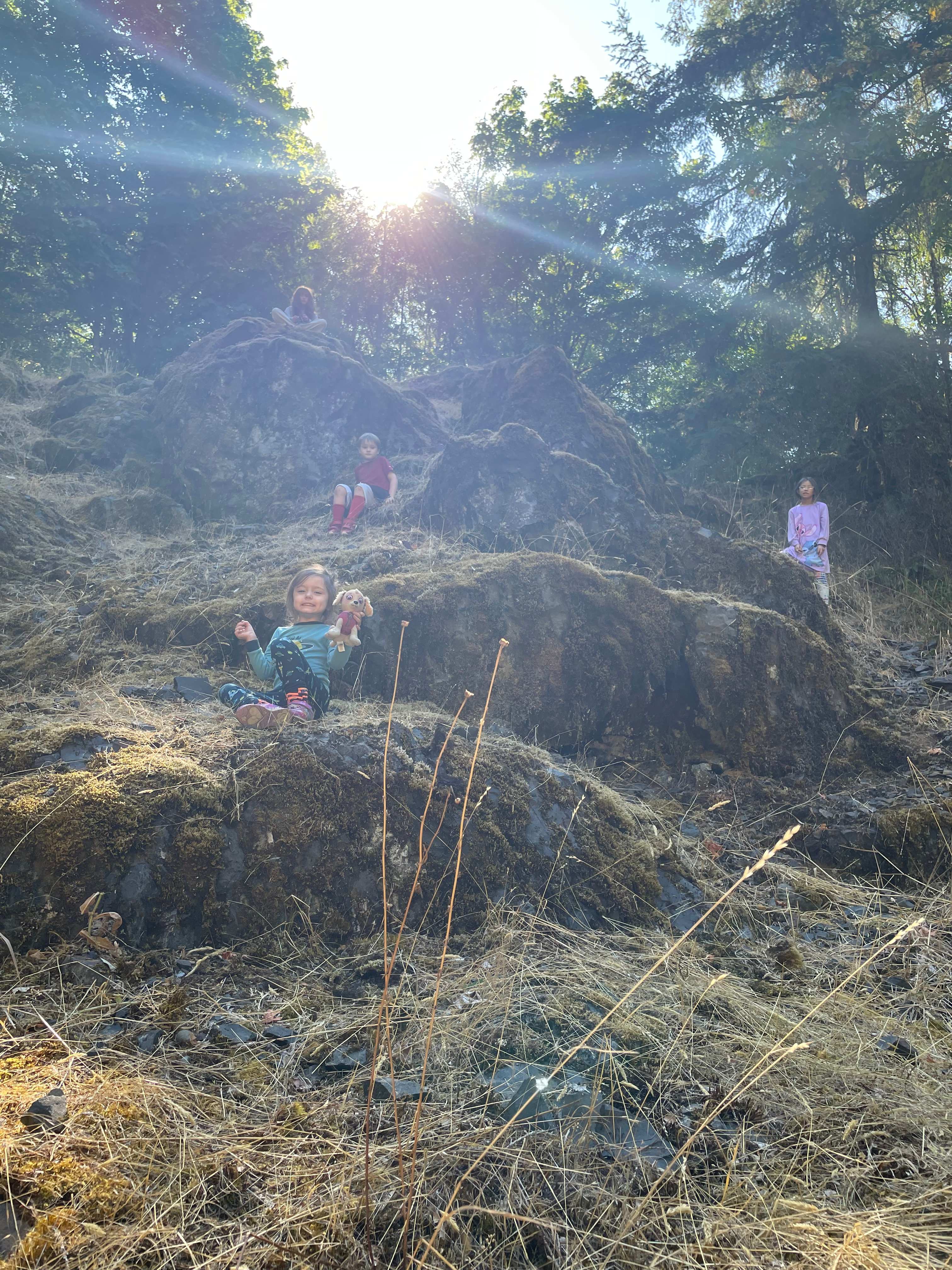 4 kids , oldest is on the highest rock 