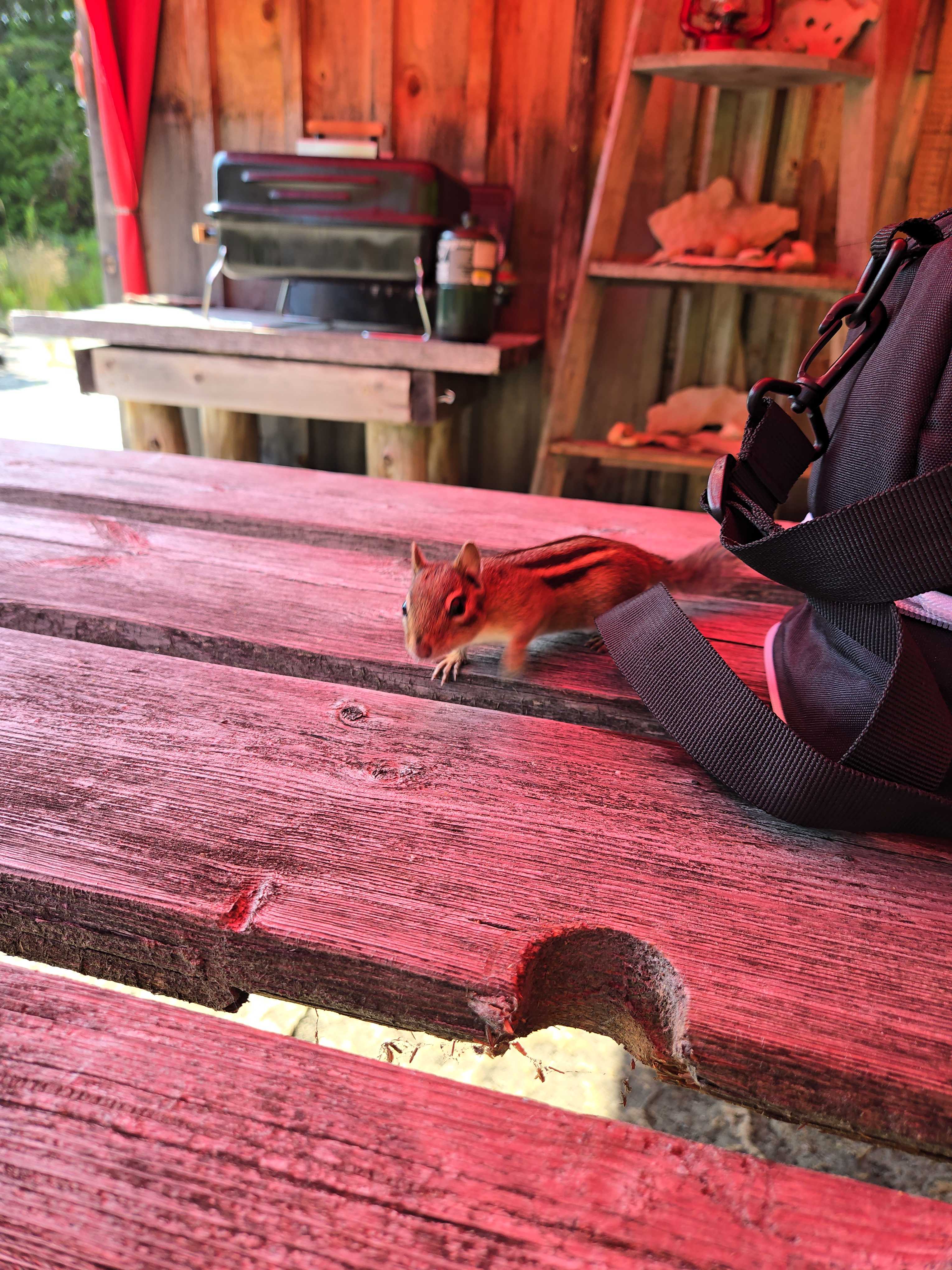 Spring Bay Bunkie... Lot 20